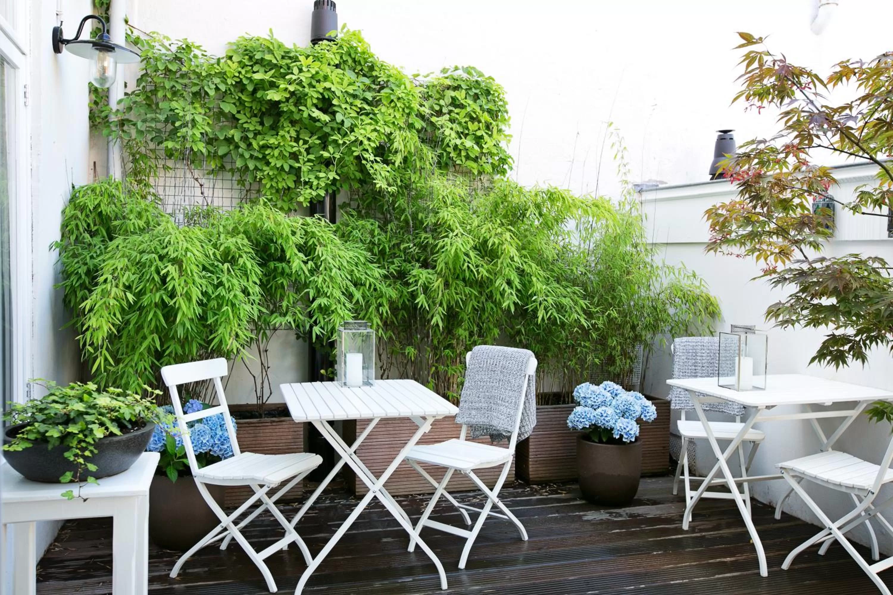 Balcony/Terrace in Bacán Bed & Breakfast