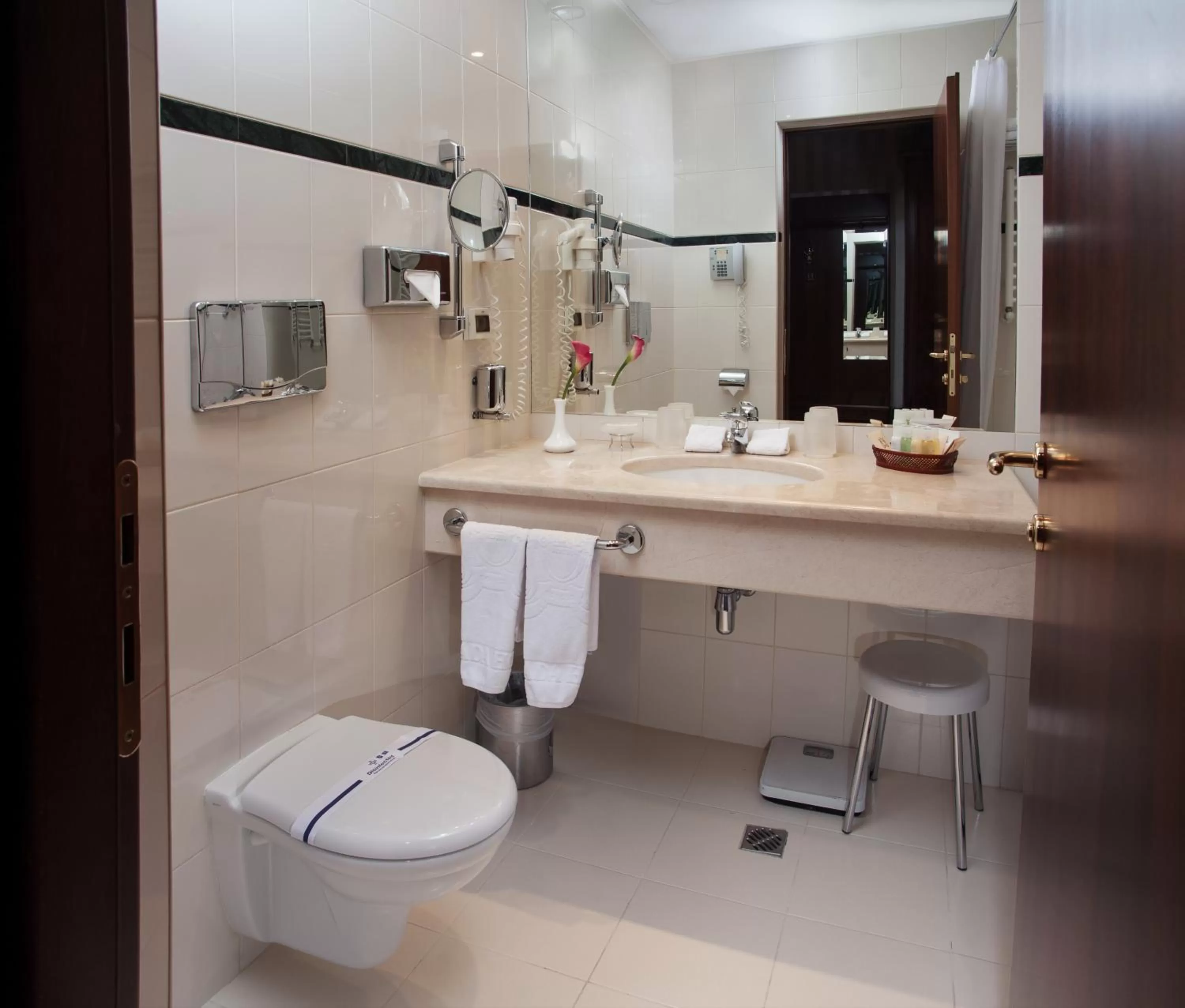 Toilet in Hotel Otrada