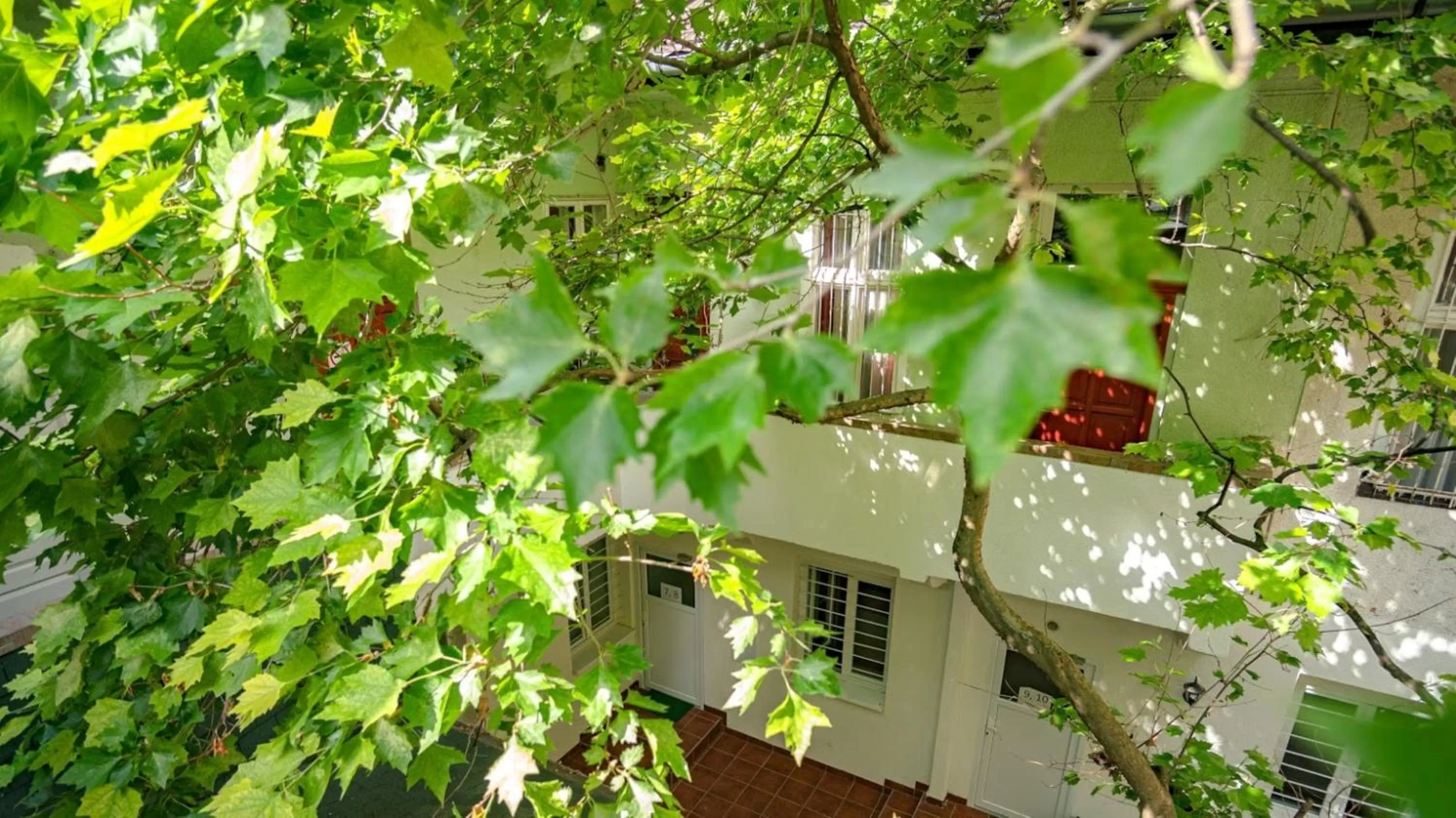 Property building in Easy Star Hotel