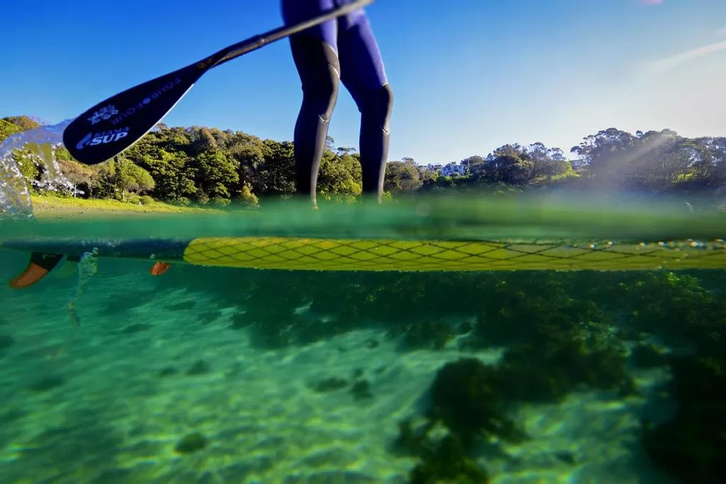 Natural landscape in Kiama Shores