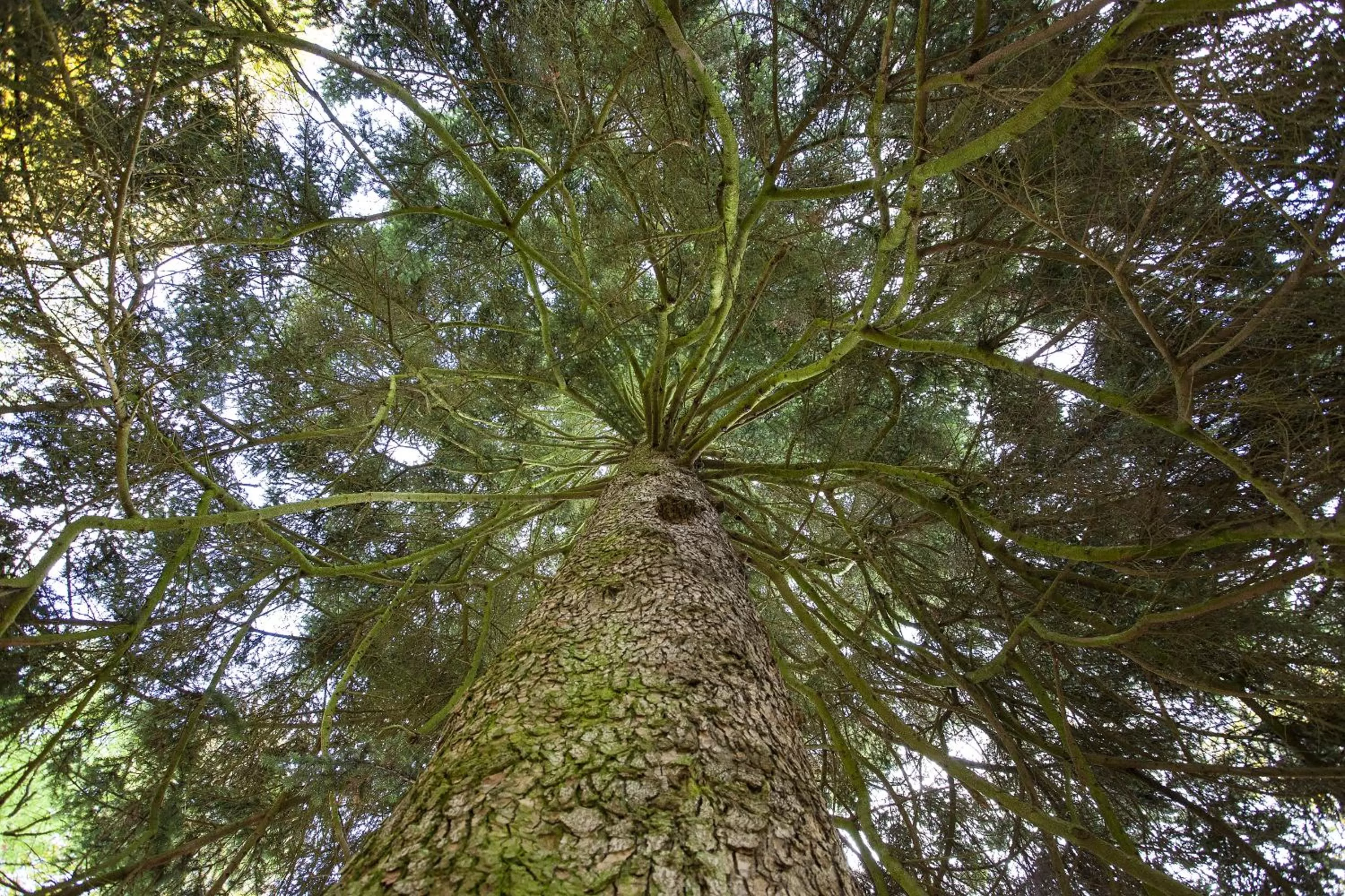 Garden in Kurhaushotel Bad Salzhausen