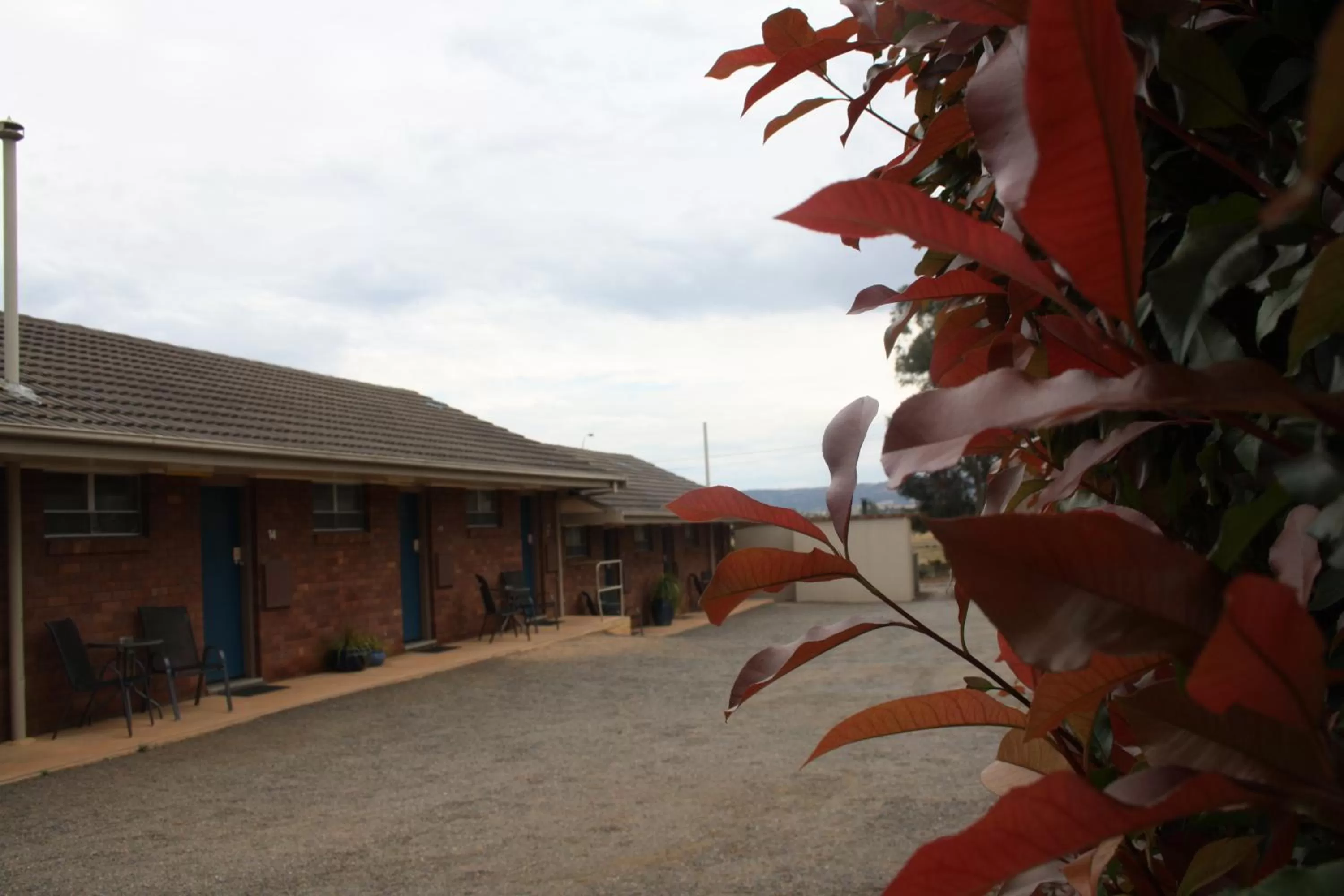 Facade/entrance in Isis Motel Scone