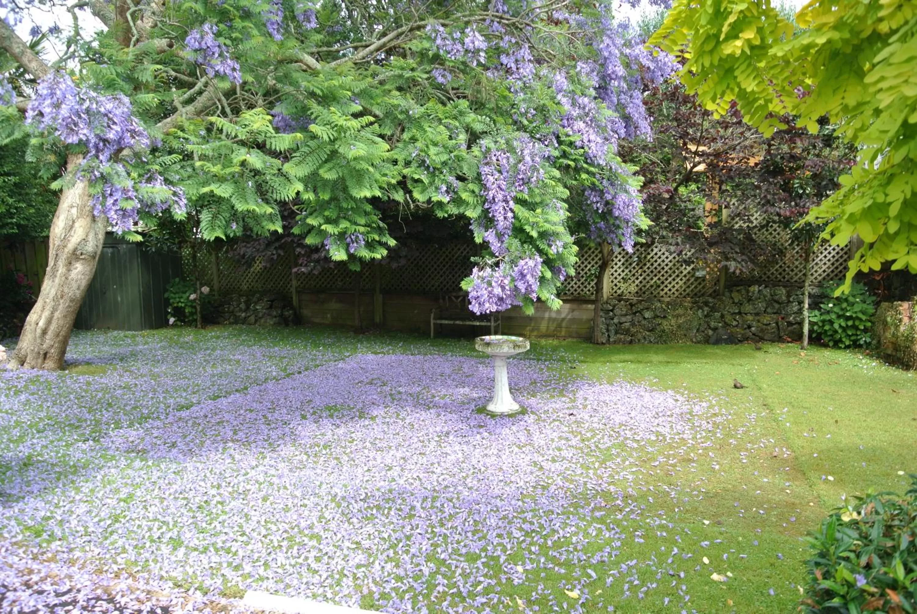 Garden in The Grange