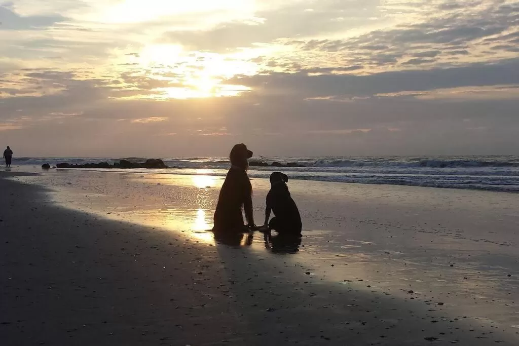 Beach in Hotel Folly with Marsh and Sunset Views
