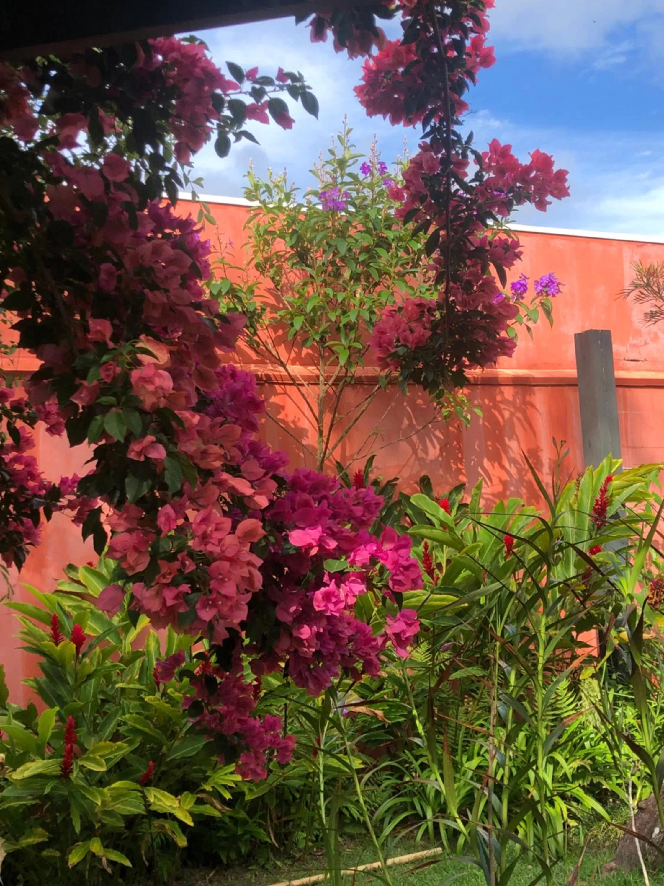 Garden in Janela de Marcia Bed and Breakfast