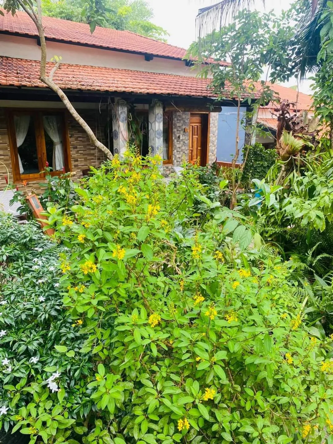 Miana Resort Phu Quoc