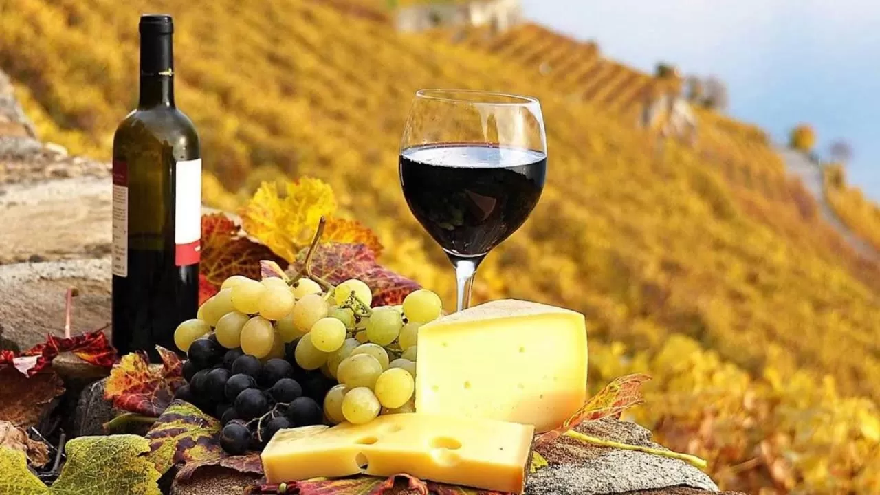 Activities in Hunter Valley Motel