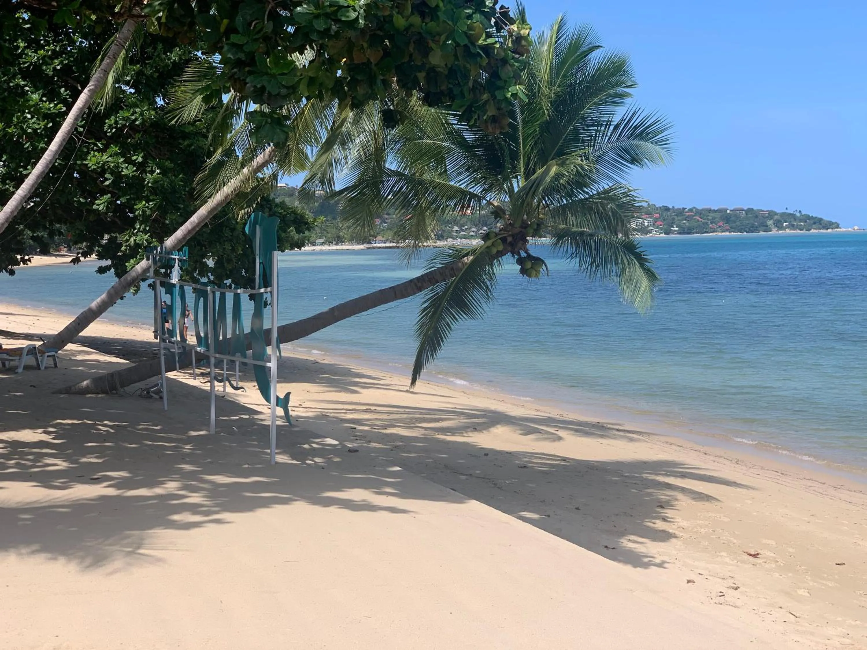 Beach in Sand Sea Beach Resort