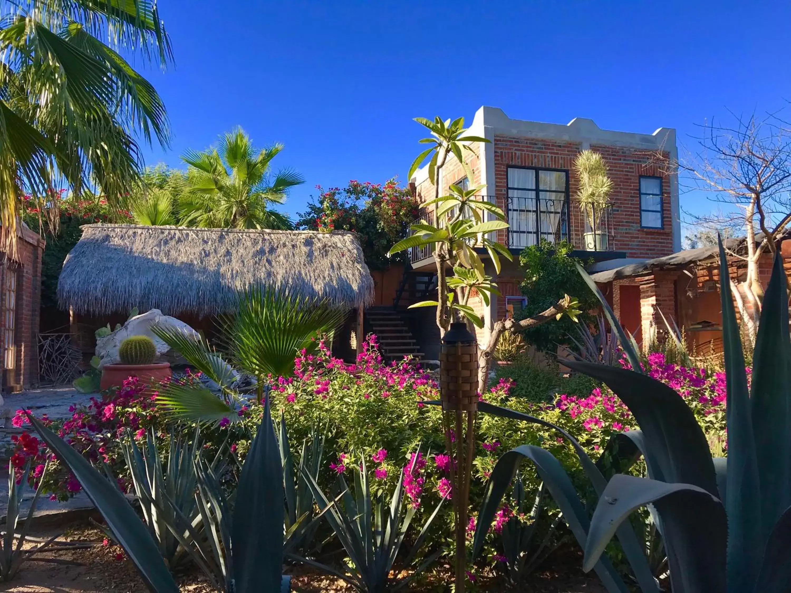 Casa Xochitl Casa Xochitl