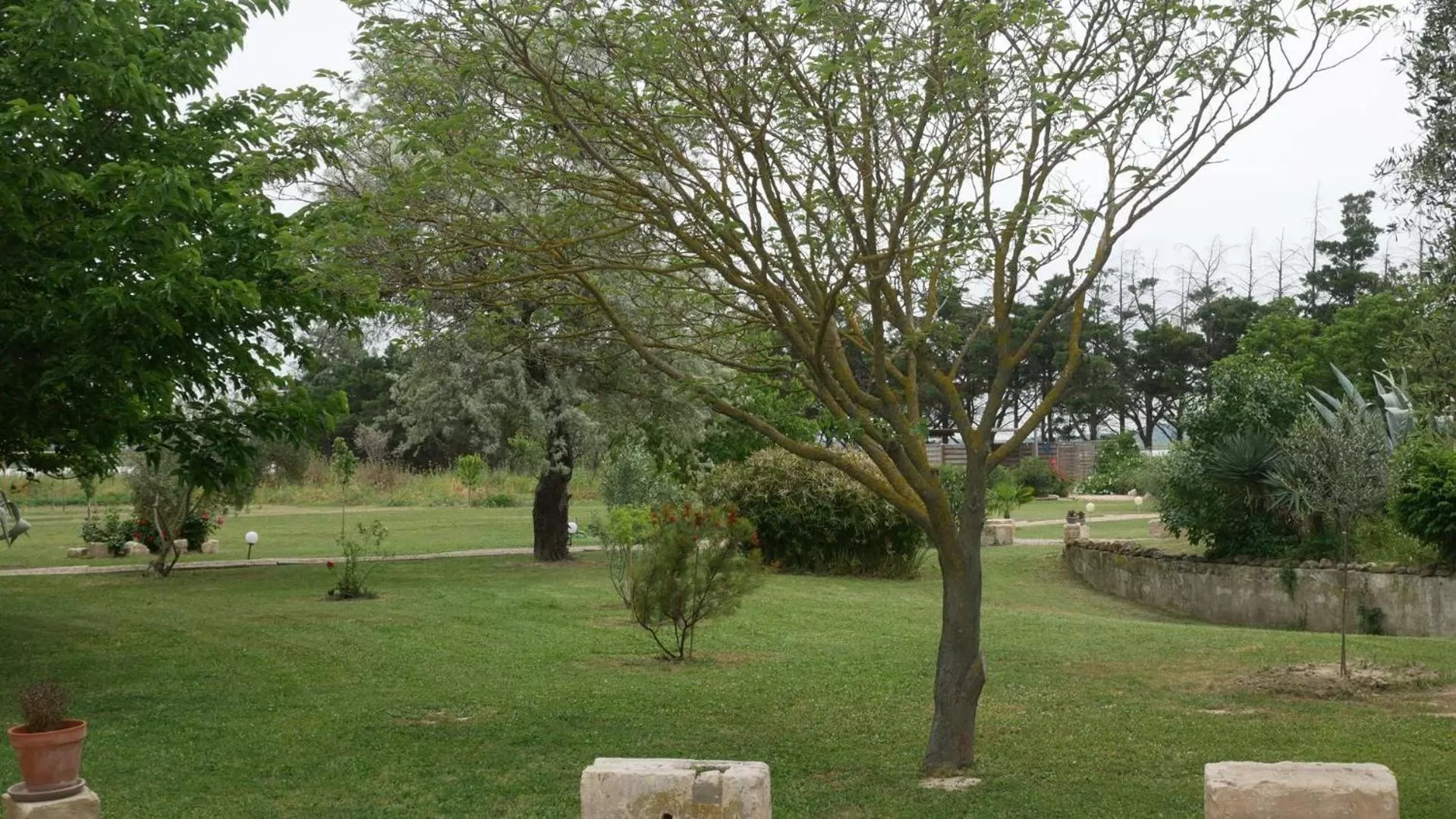 Garden view in MAS MAURANE-Chambre d'hôte avec SPA privé aux portes d'ARLES