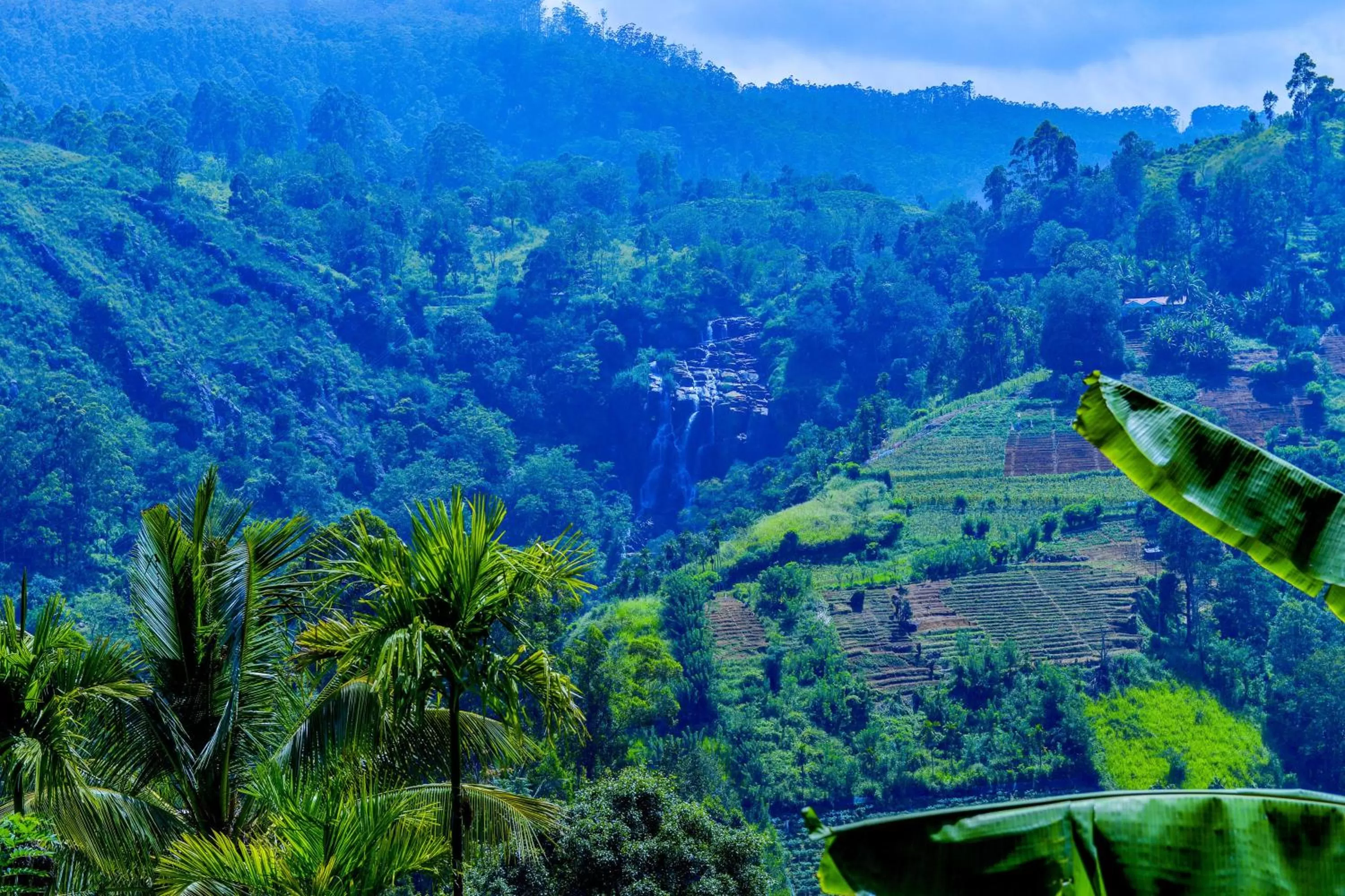 Natural landscape in Dimuthu Home Stay