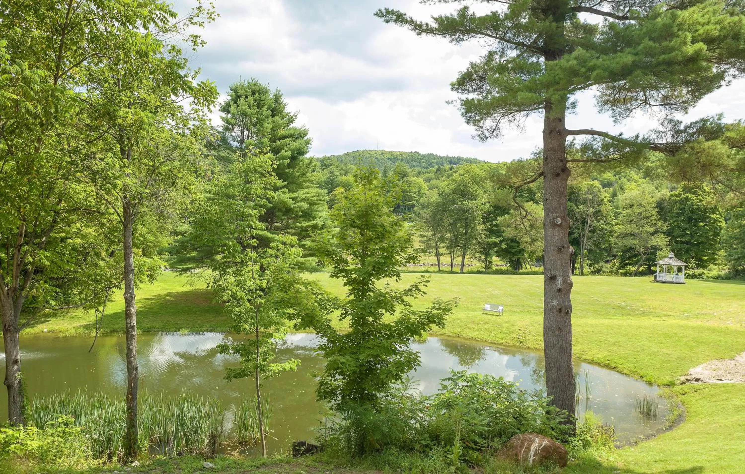 View (from property/room) in 506 On the River Inn Woodstock