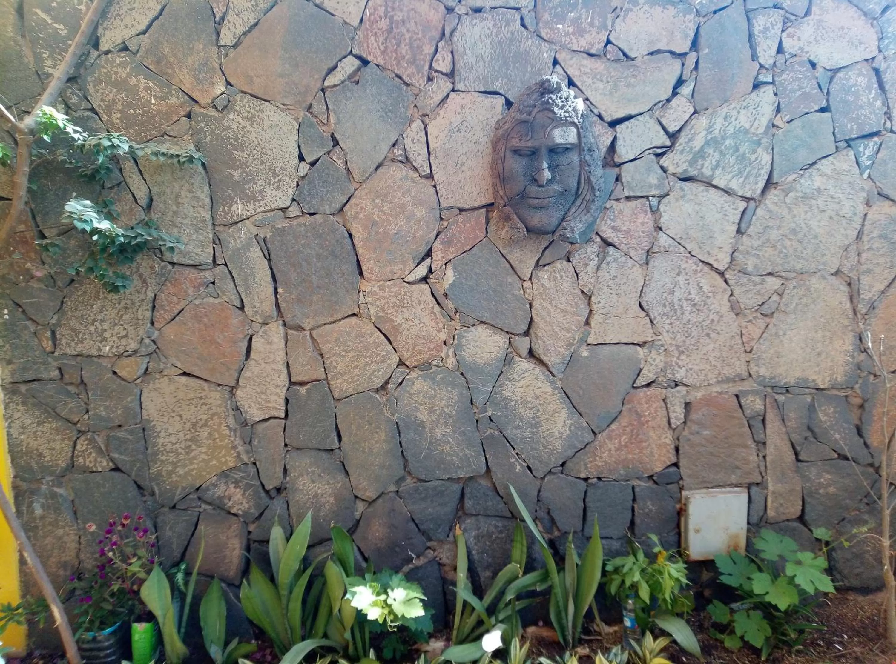 Garden, Other Animals in O Jardim do Vinho