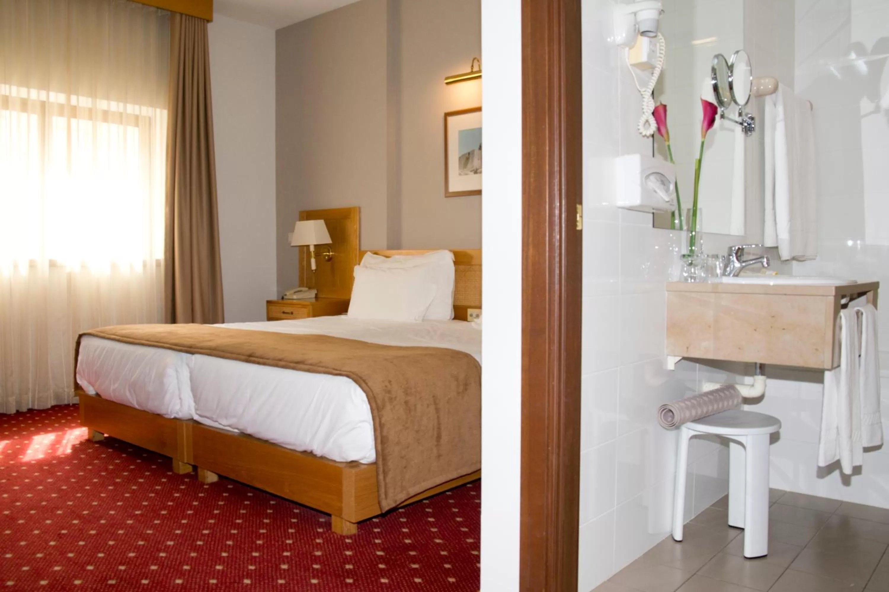 Double or Twin Room in Hotel Rainha D. Amélia, Arts & Leisure