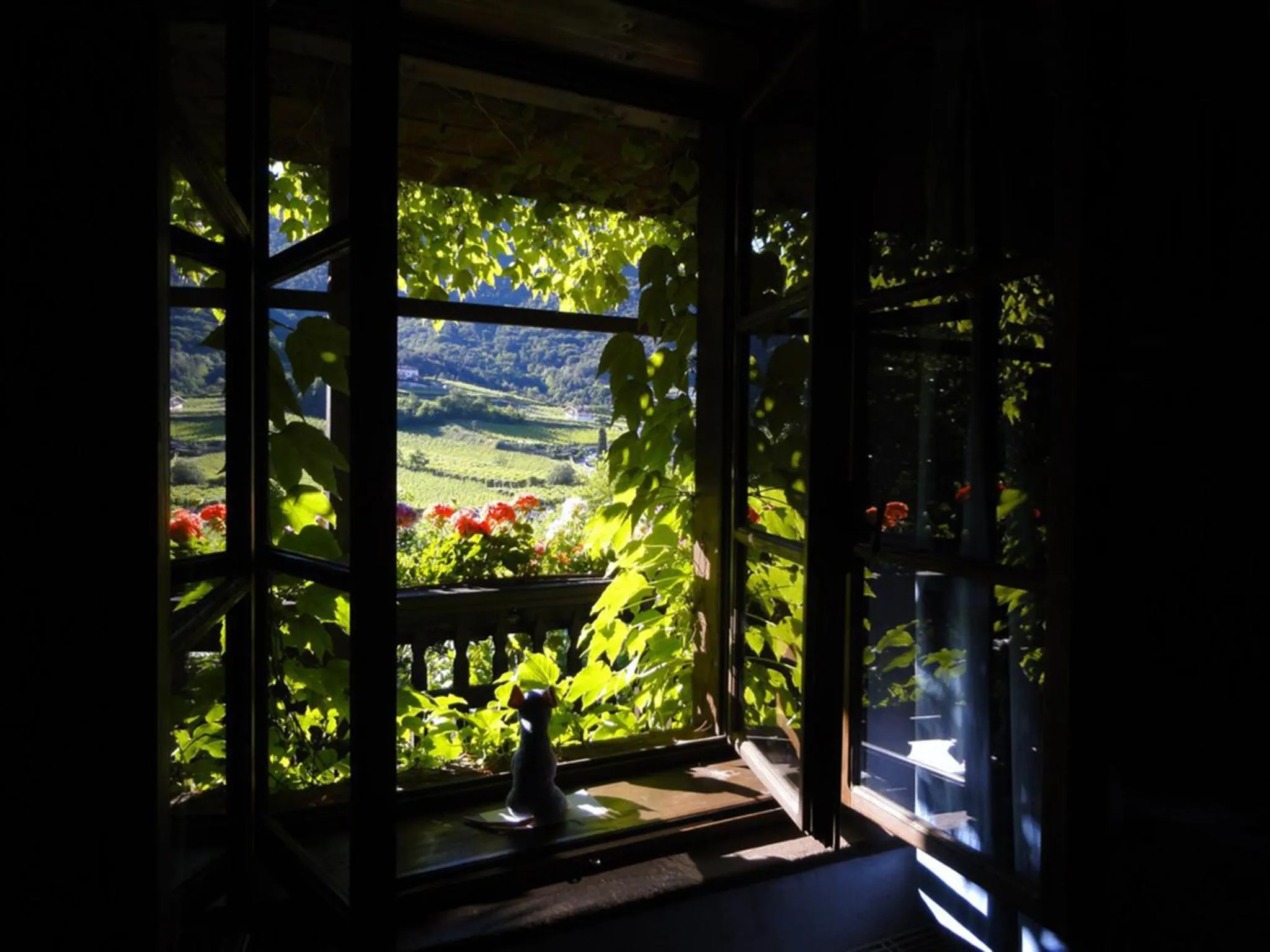 Garden view in Villa Bertagnolli - Locanda Del Bel Sorriso