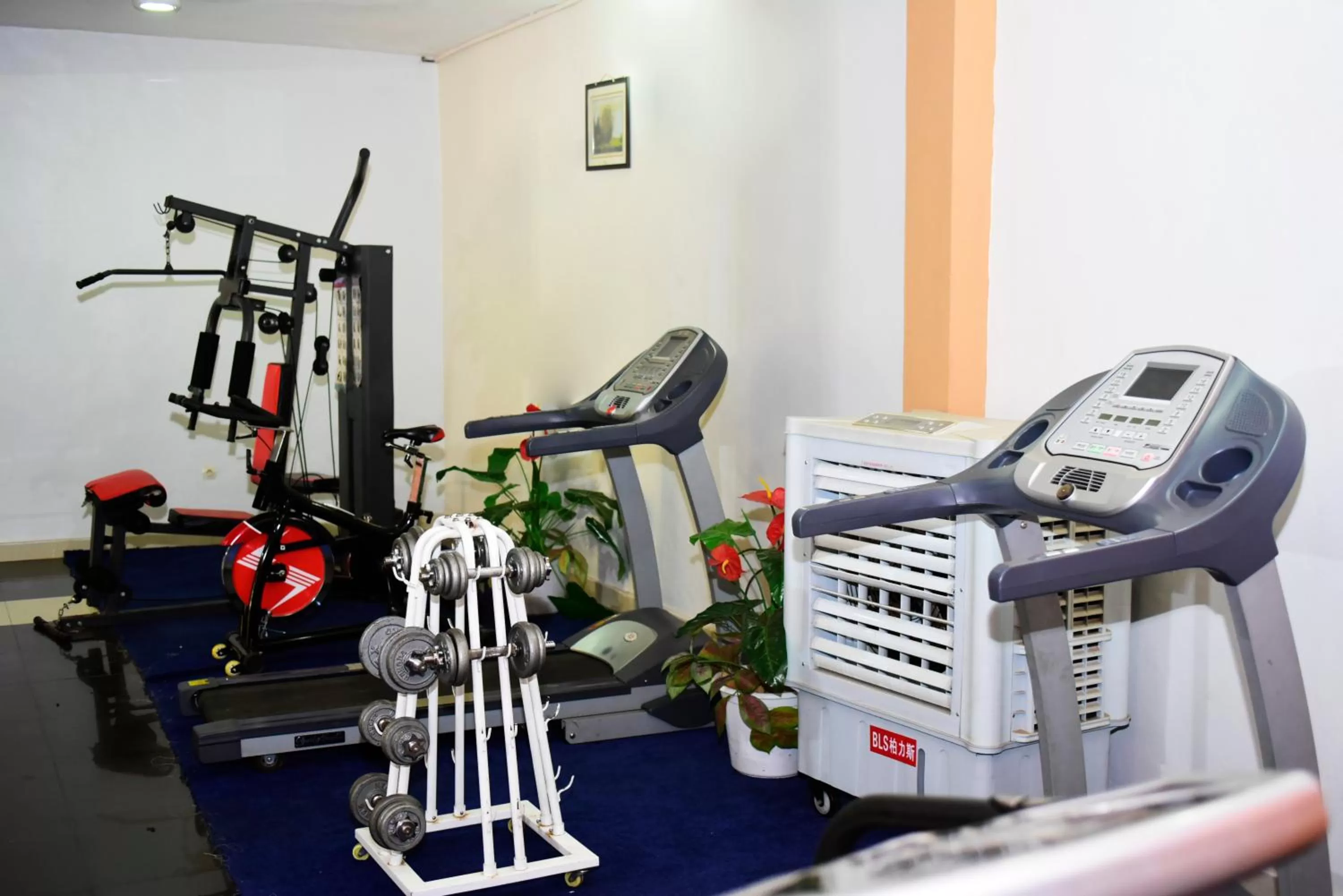 Fitness centre/facilities in Nobleza Hotel