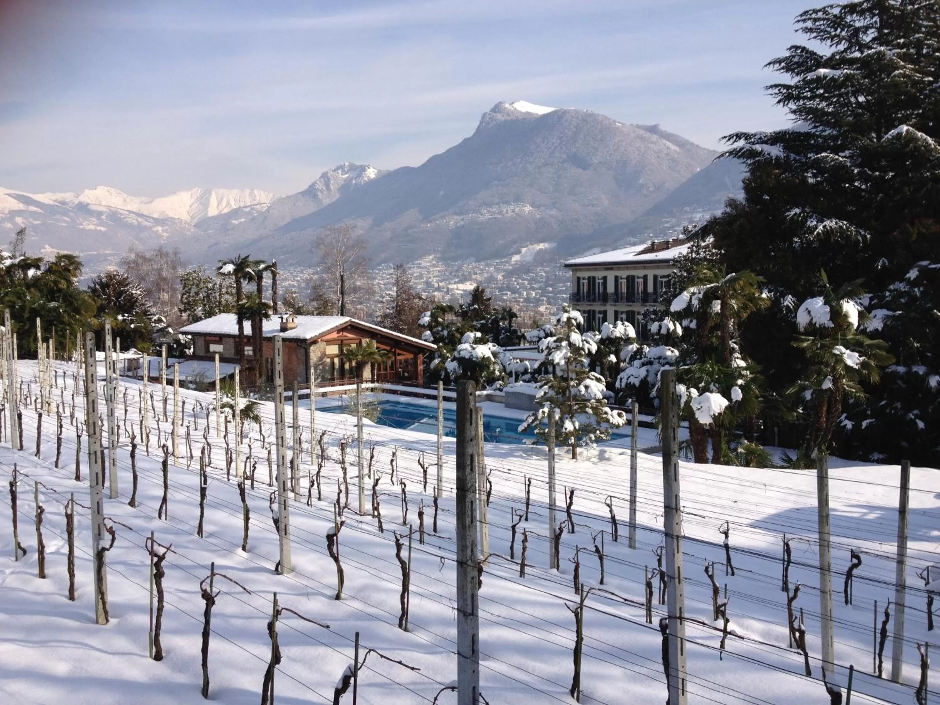 Area and facilities in Continental Parkhotel
