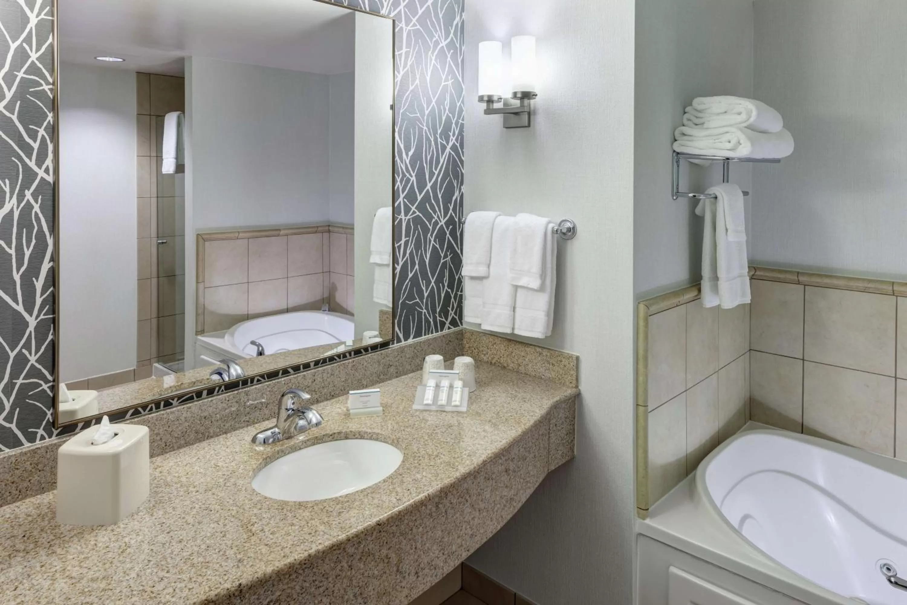 Bathroom in Hilton Garden Inn Lake Forest Mettawa