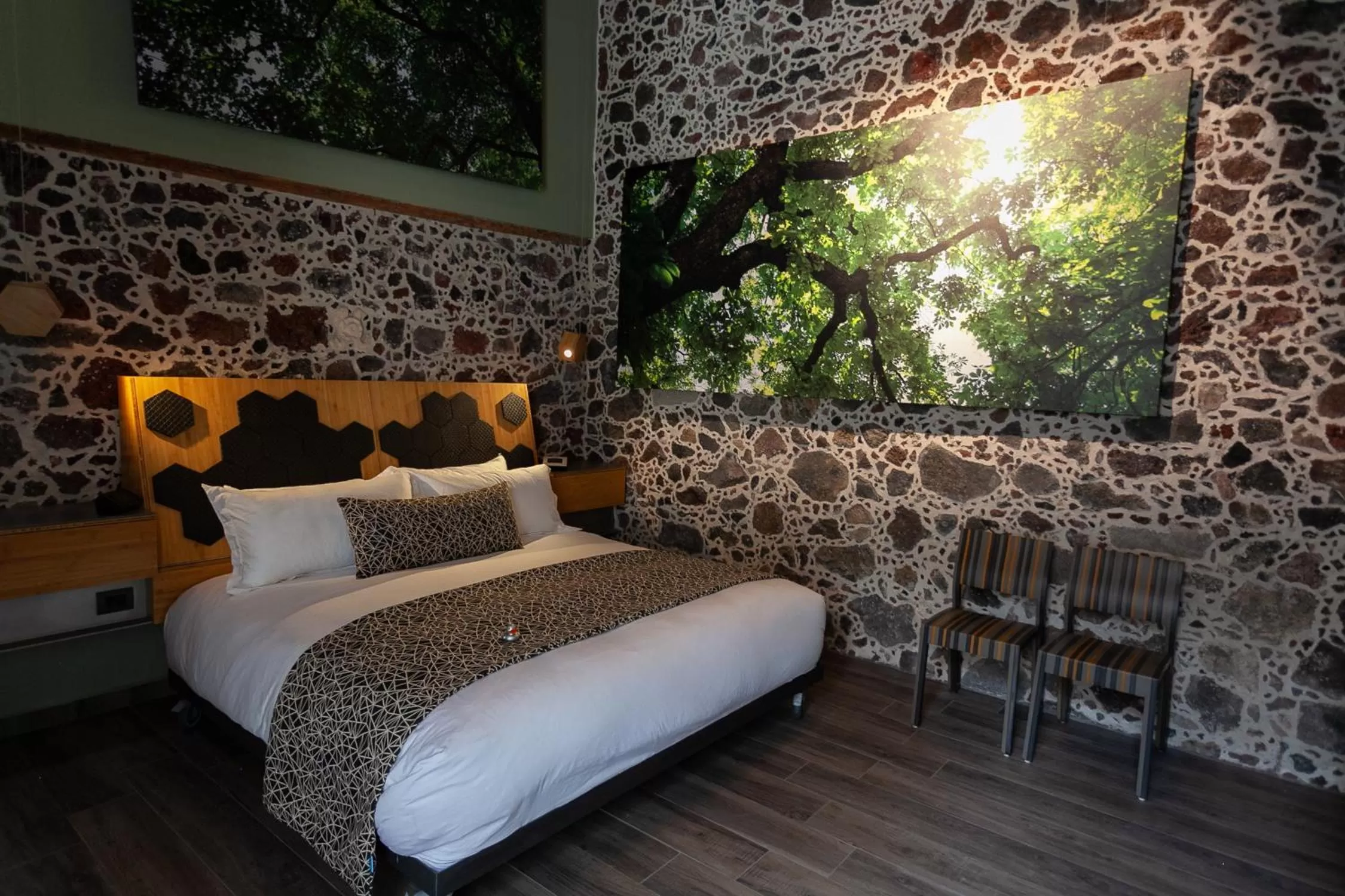 Photo of the whole room in Mumedi Design Hotel