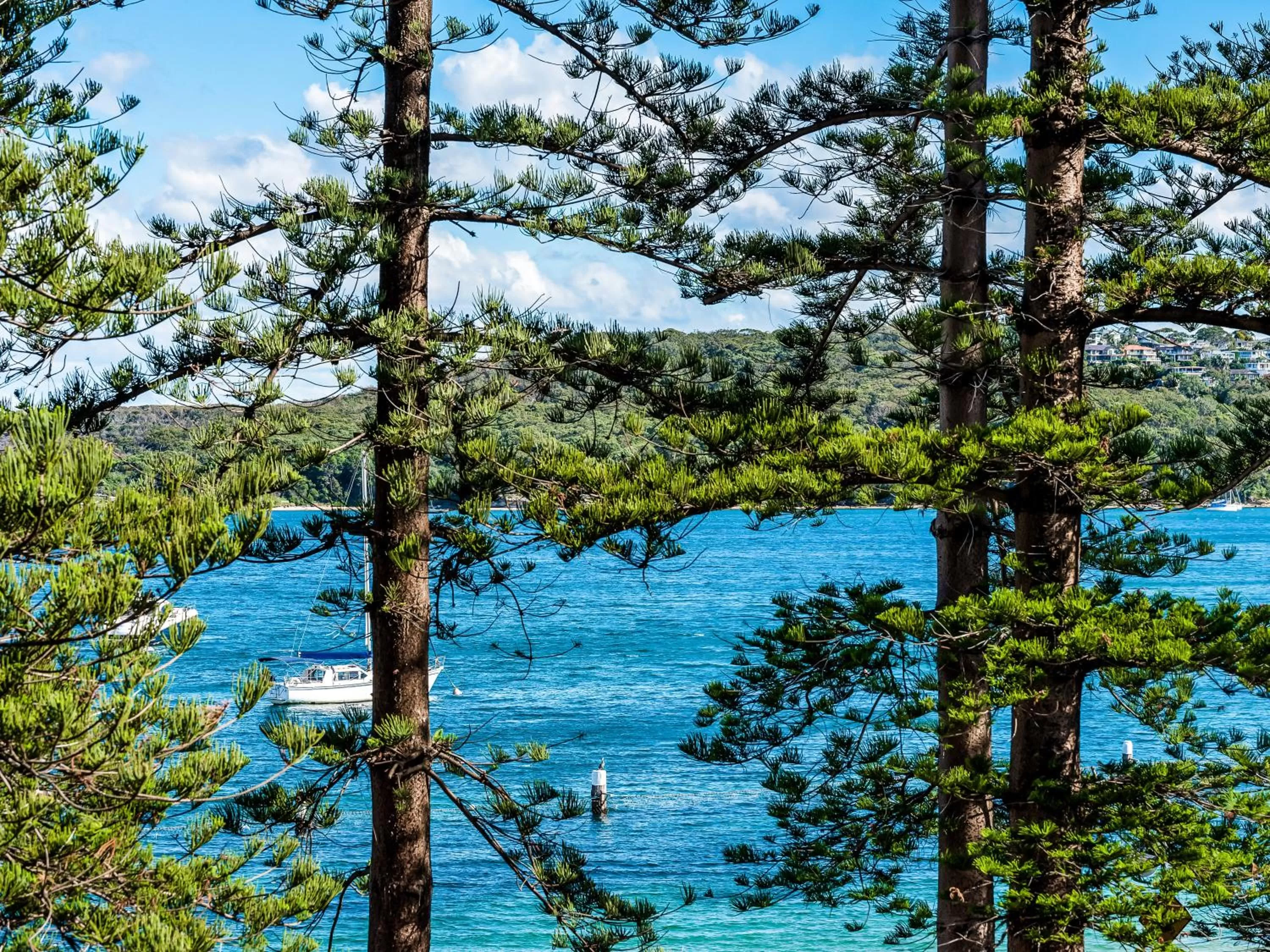 Natural landscape, River View in Quest Manly