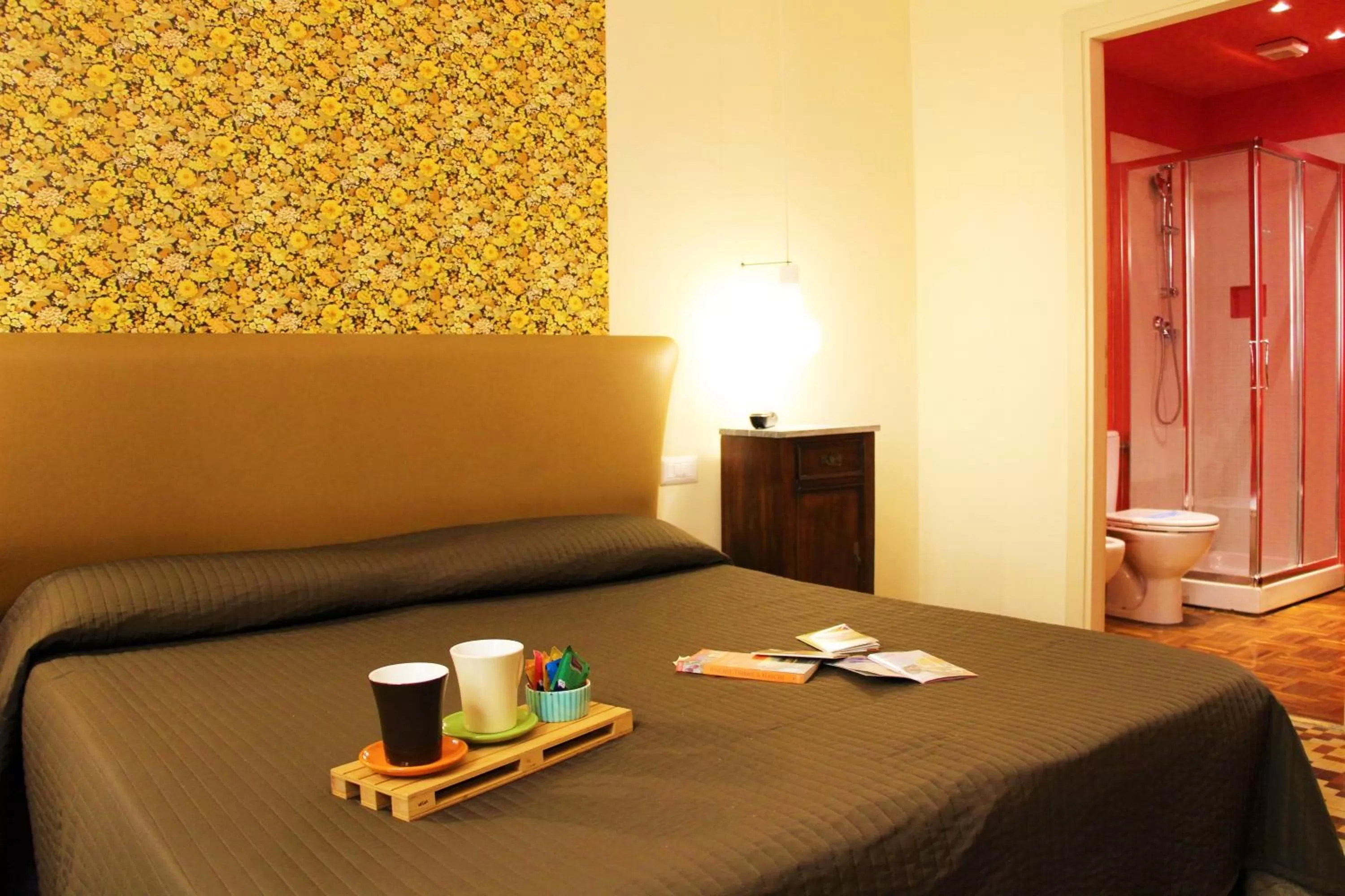 Standard Double Room in Hotel Diana