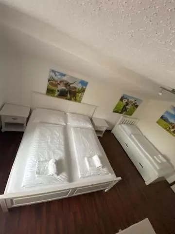 Photo of the whole room in Hotel Wildschütz Basic