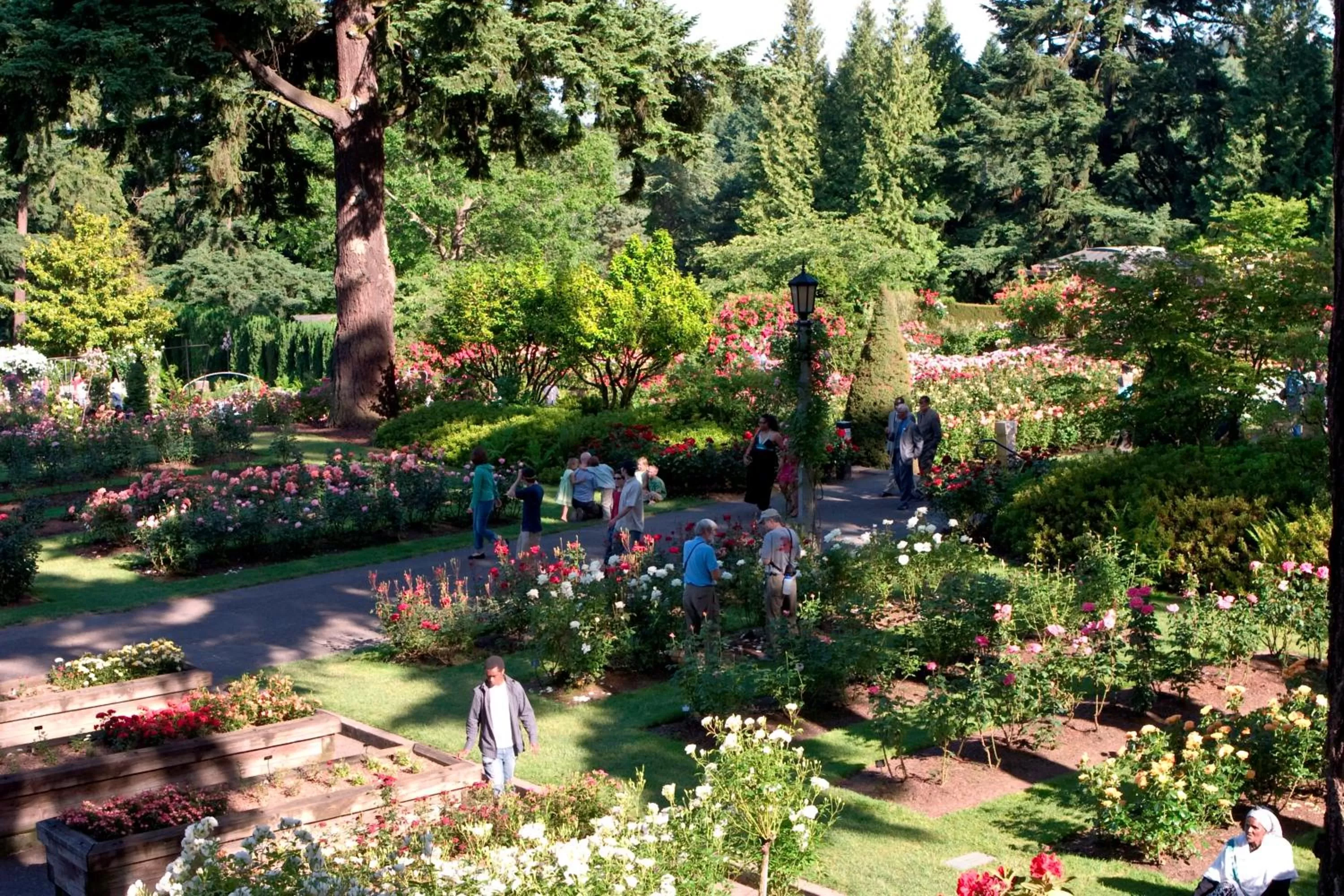 Nearby landmark in Holiday Inn Portland-Airport I-205 by IHG