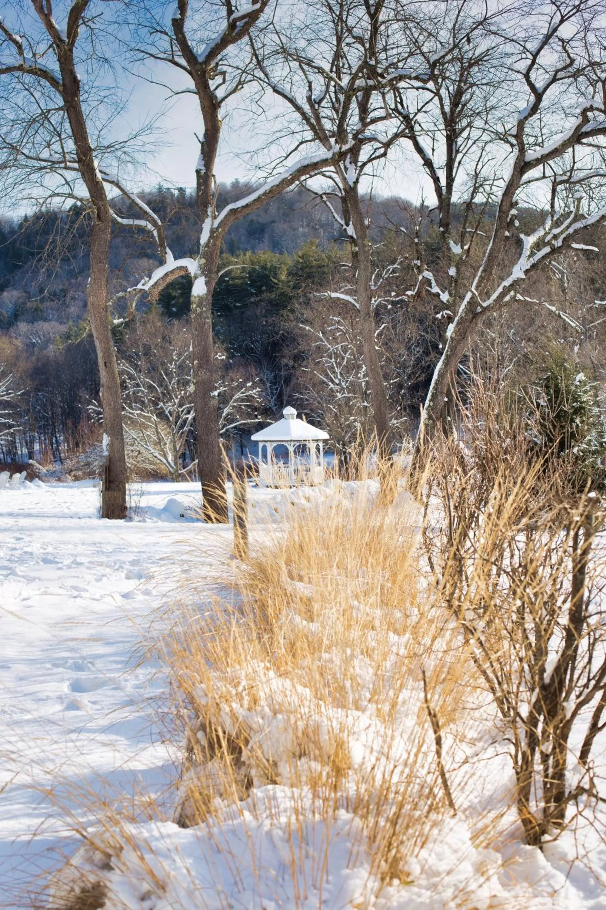 Winter in 506 On the River Inn Woodstock