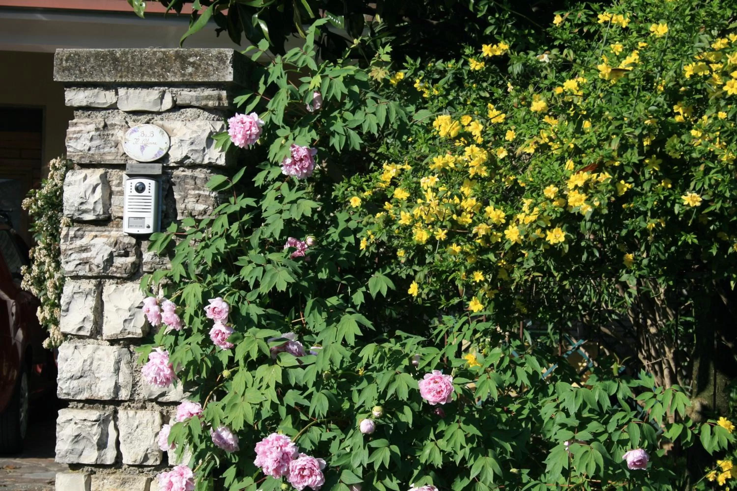 Garden in B&B Il Glicine