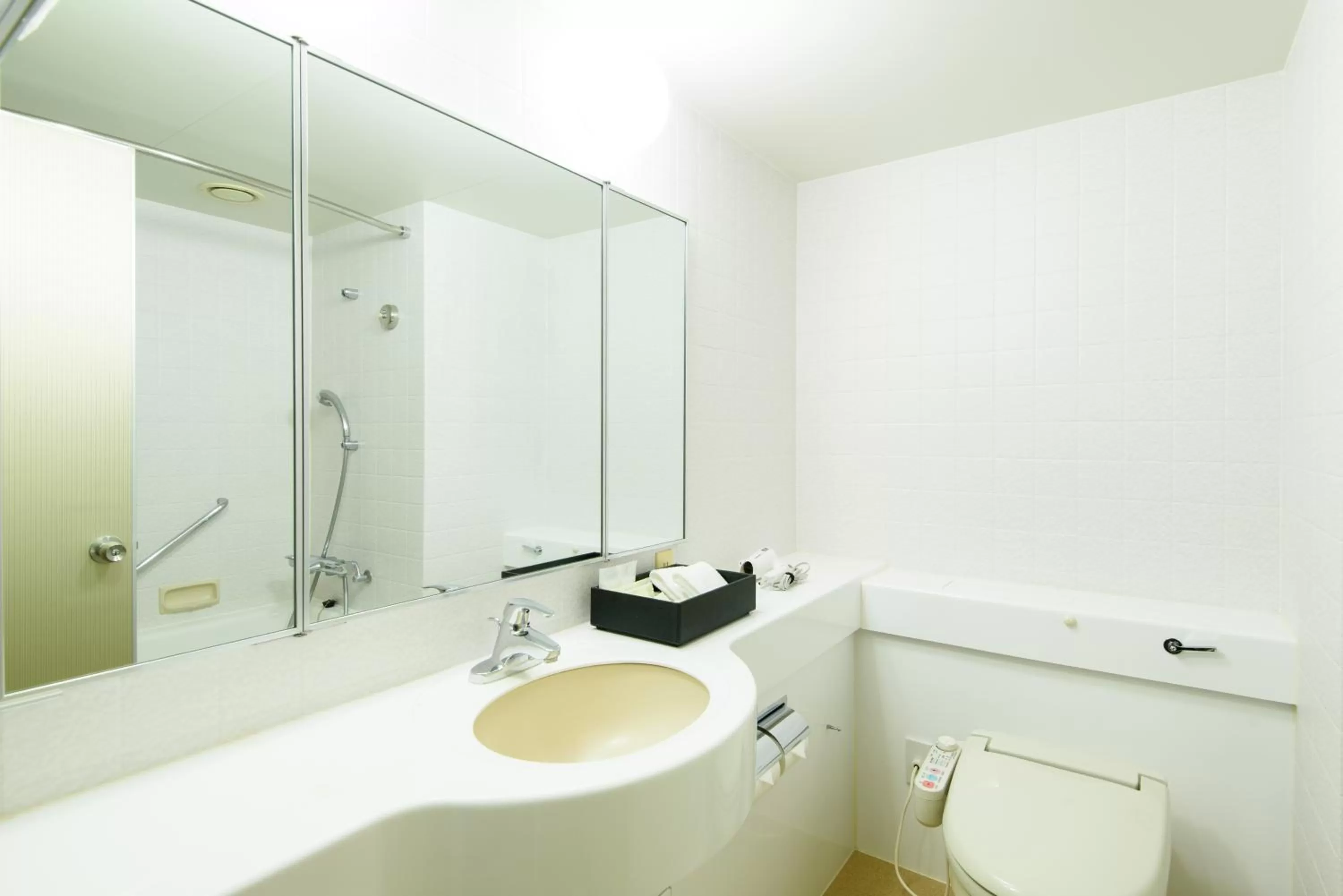 Bathroom in Kanazawa Tokyu Hotel