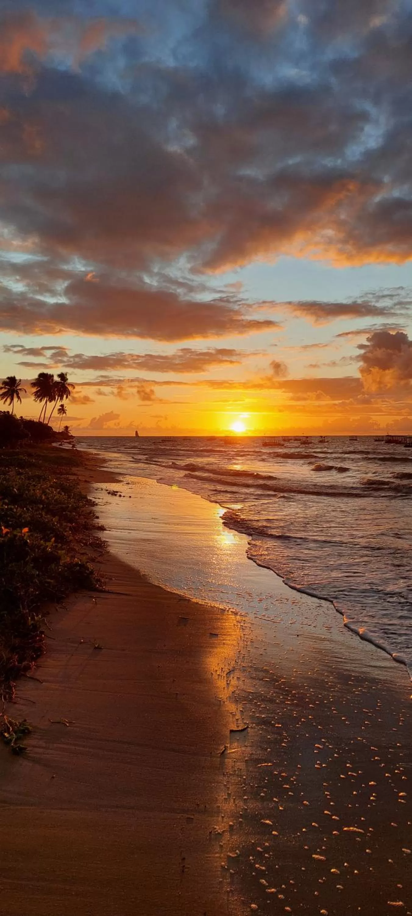 Beach in Arataba Hotel Boutique e Bistrô - 150 mts do mar