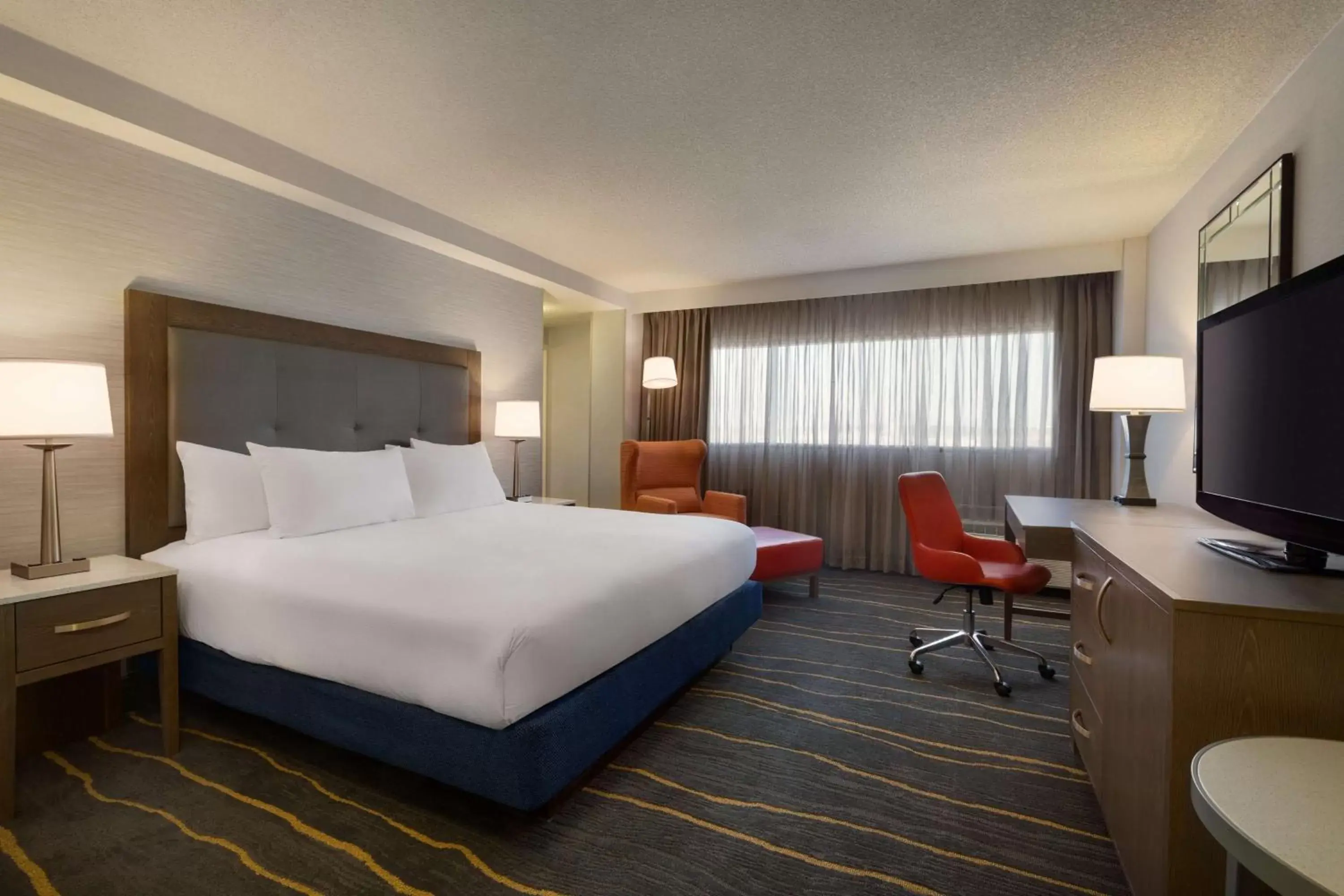 King Room - Non-Smoking in DoubleTree by Hilton Hotel Albuquerque King Room - Non-Smoking in DoubleTree by Hilton Hotel Albuquerque