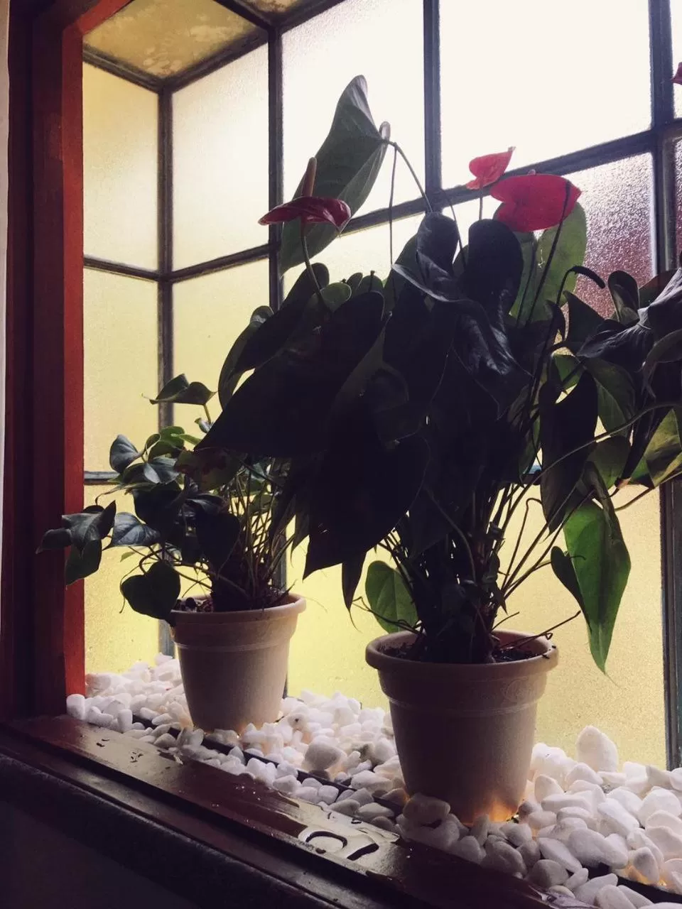 Pousada Canto Bella Terra