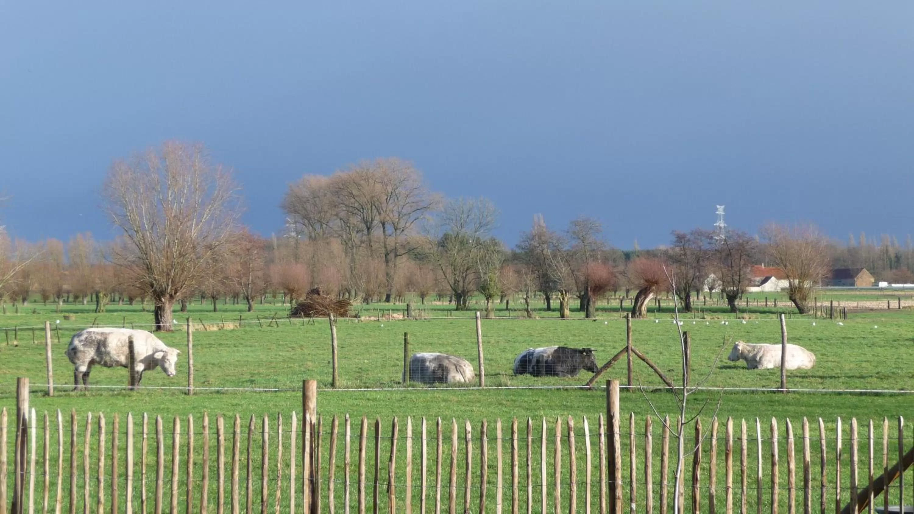Garden in B&B De Vossenbarm