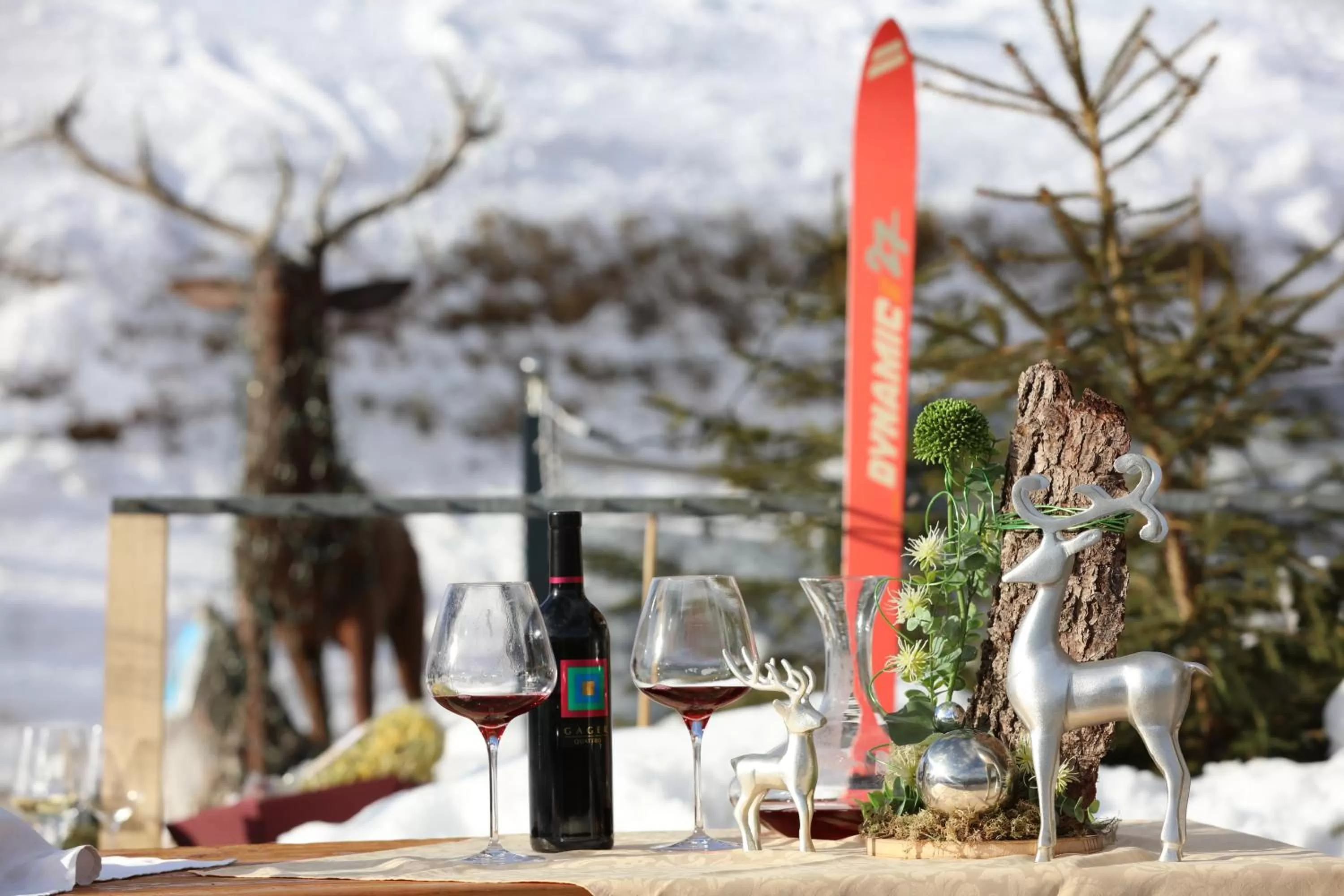 Natural landscape in Hotel und Alpen Apartments mit Sauna - Bürglhöh