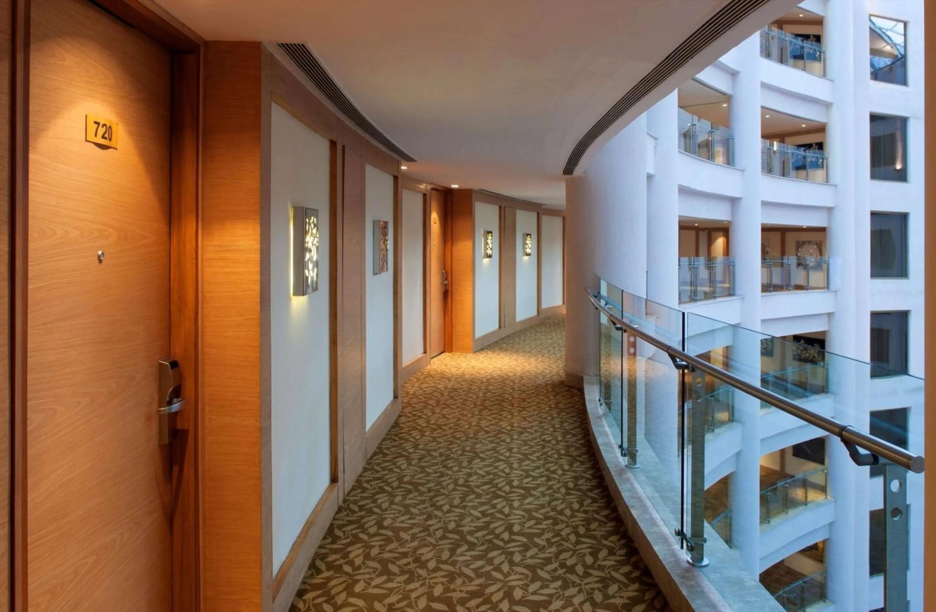 Other in Radisson Blu Hotel New Delhi Dwarka