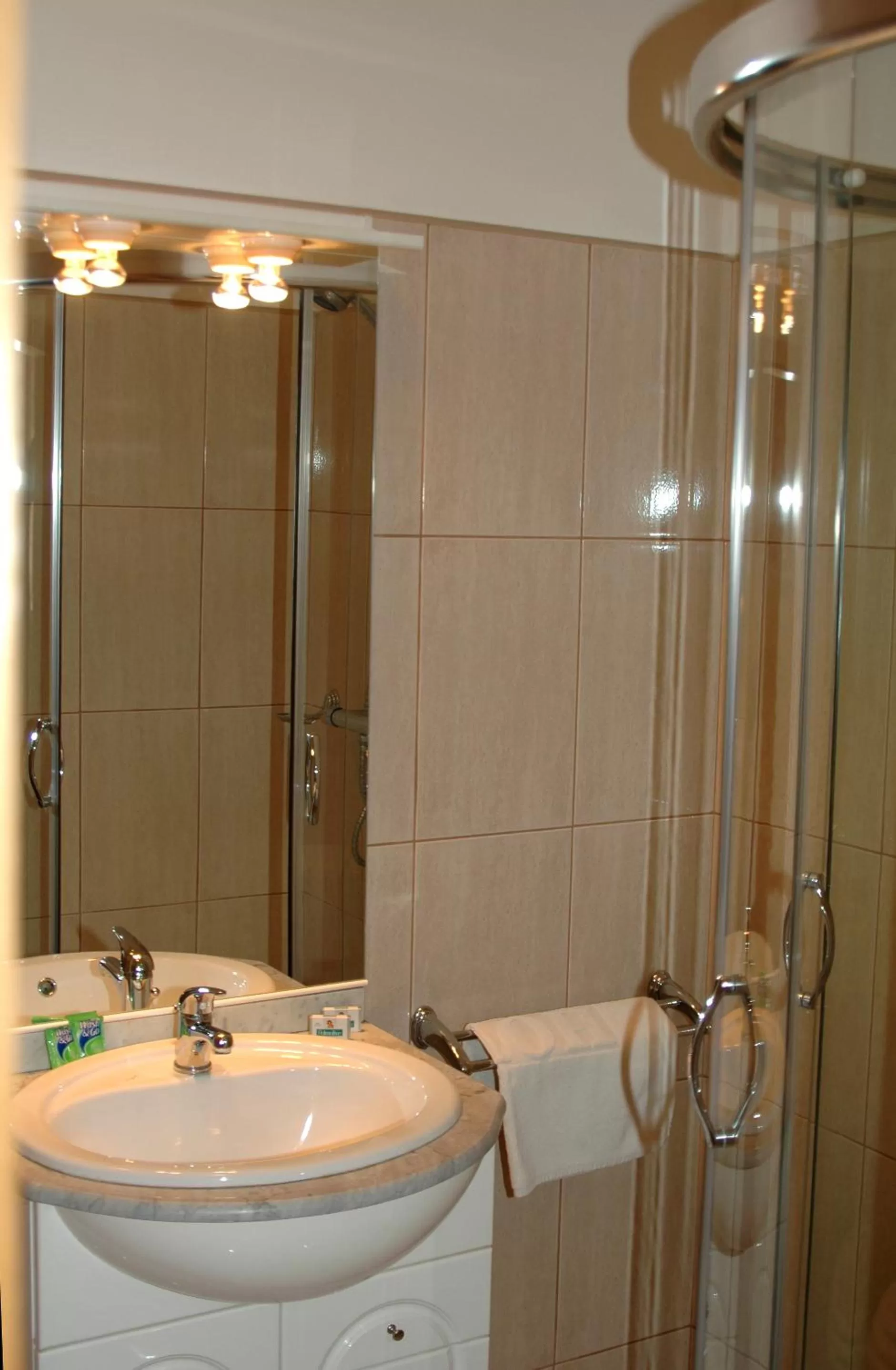 Bathroom in Hotel Iris