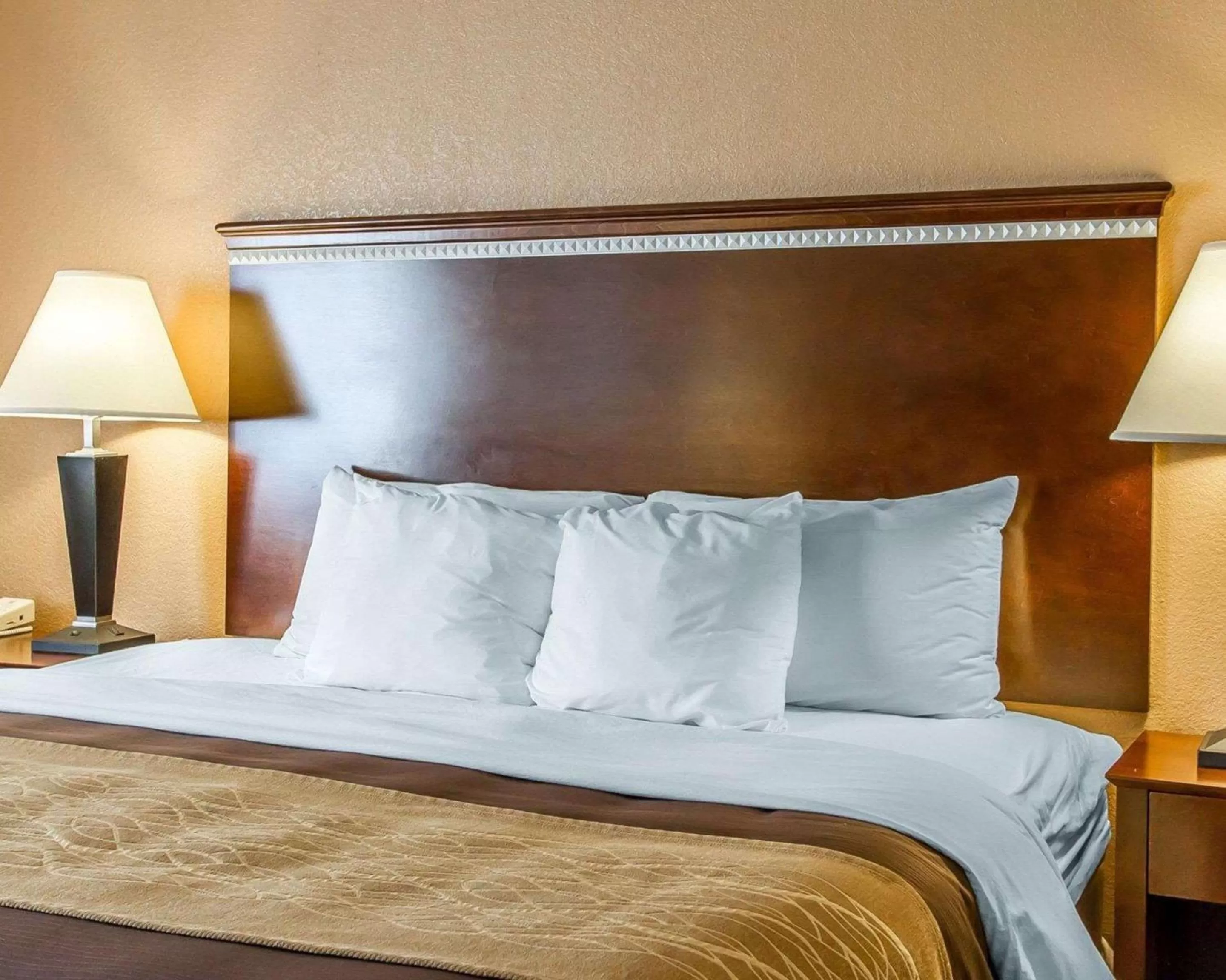 Bedroom, Bed in Quality Inn & Suites Mount Pleasant