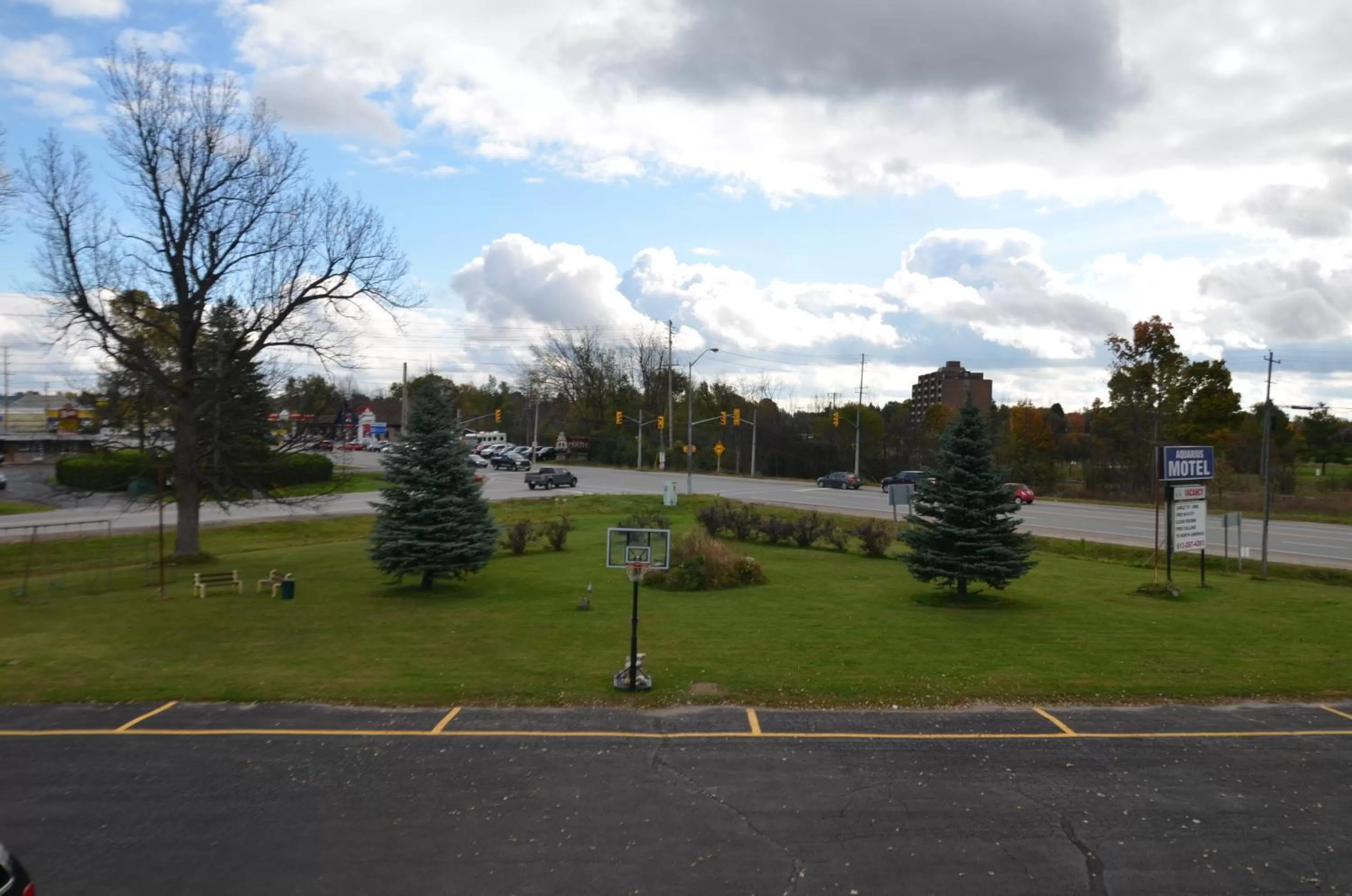 Garden view in Aquarius Motel