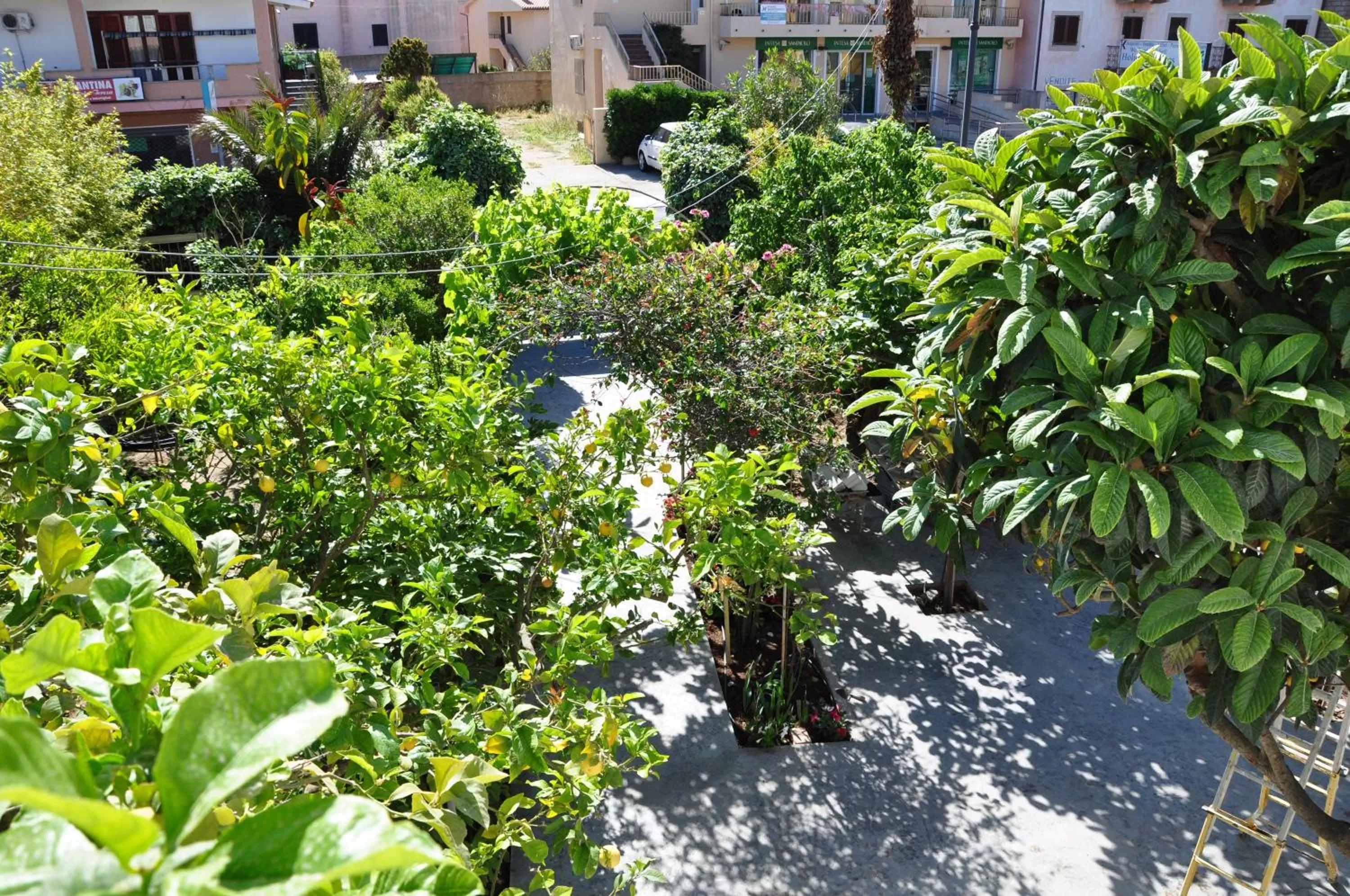 Natural landscape in B&B Les Chambres Rooms & Suite