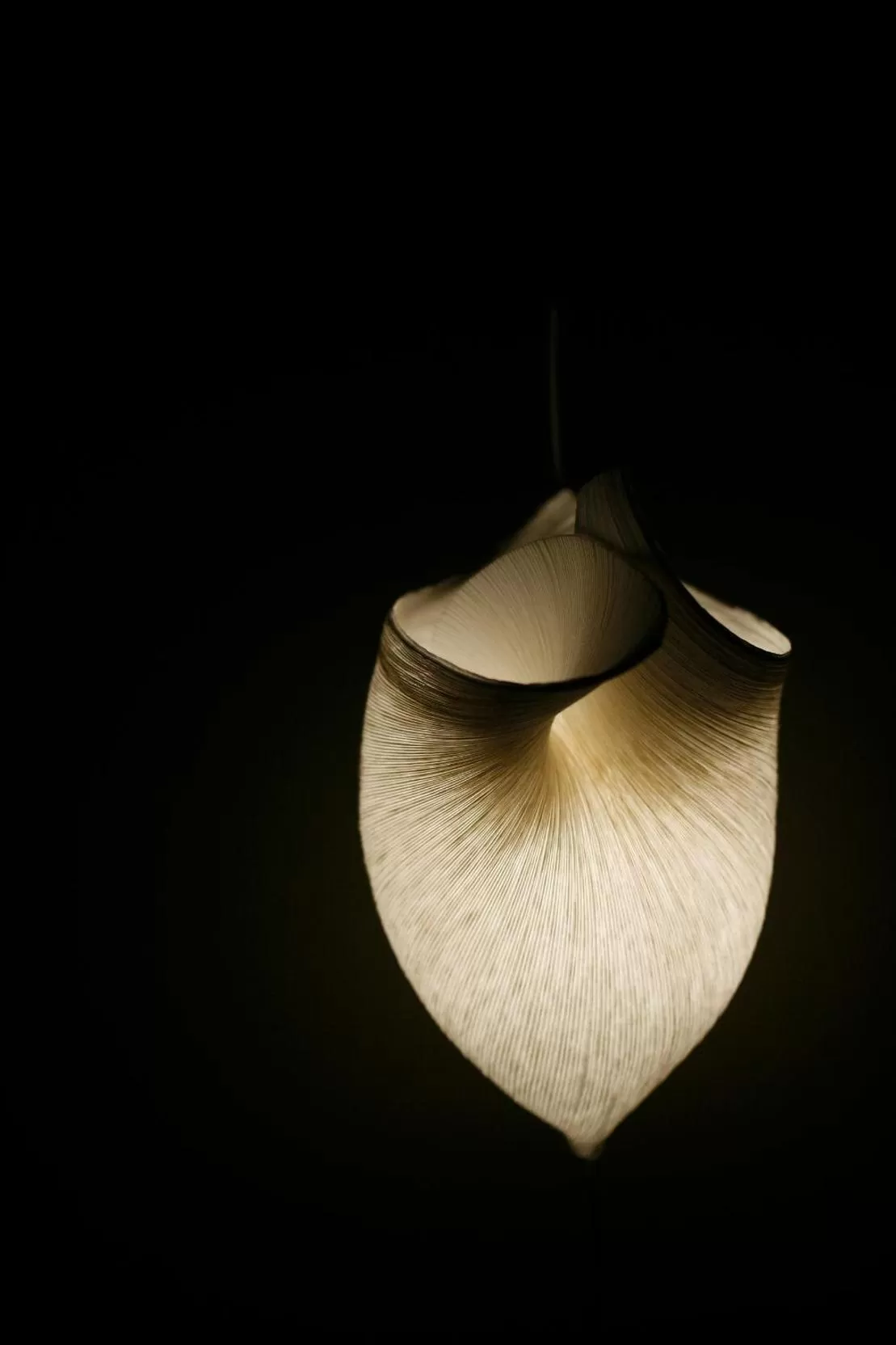 Decorative detail in Les 4 étoiles