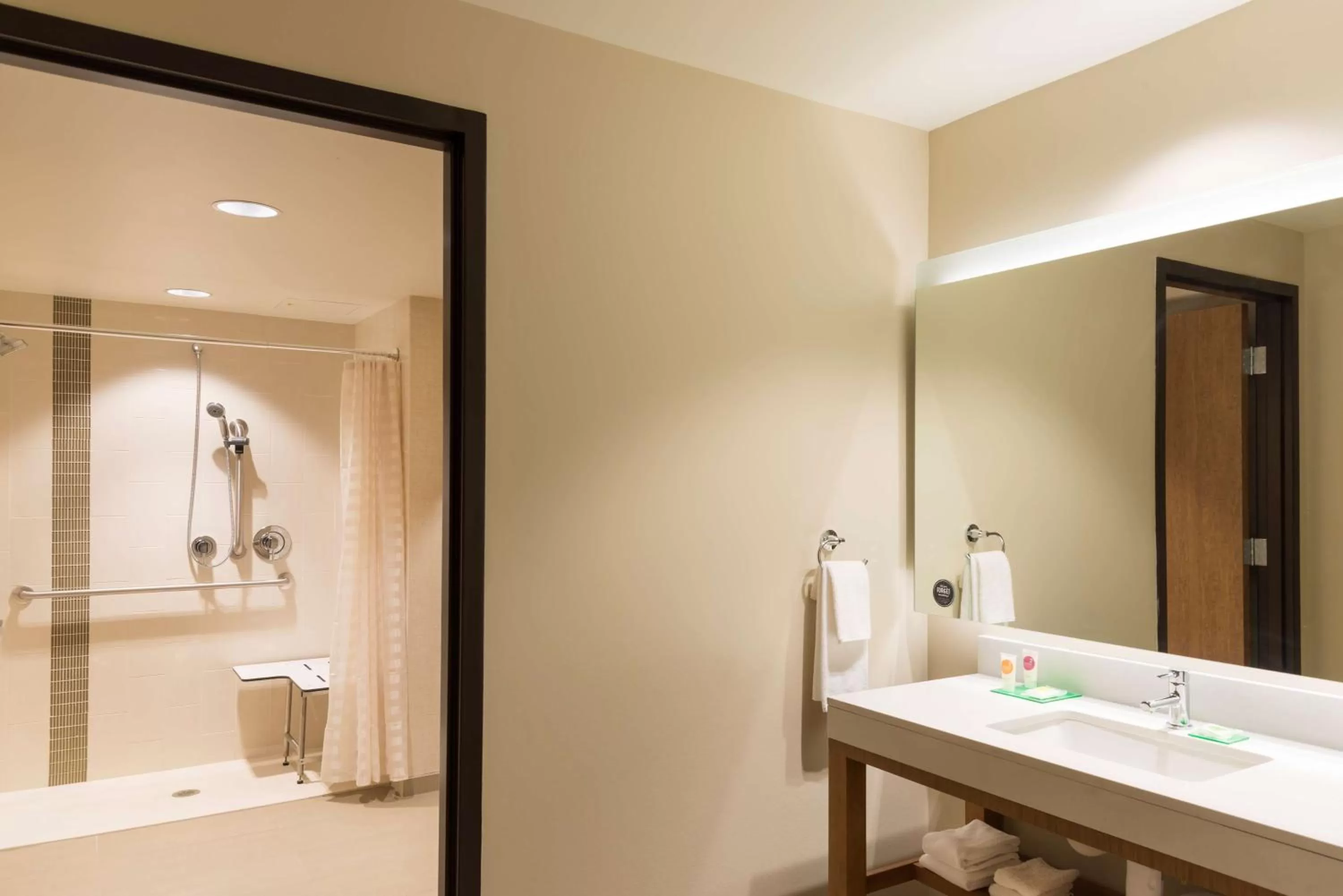 Bathroom in Hyatt Place Ann Arbor