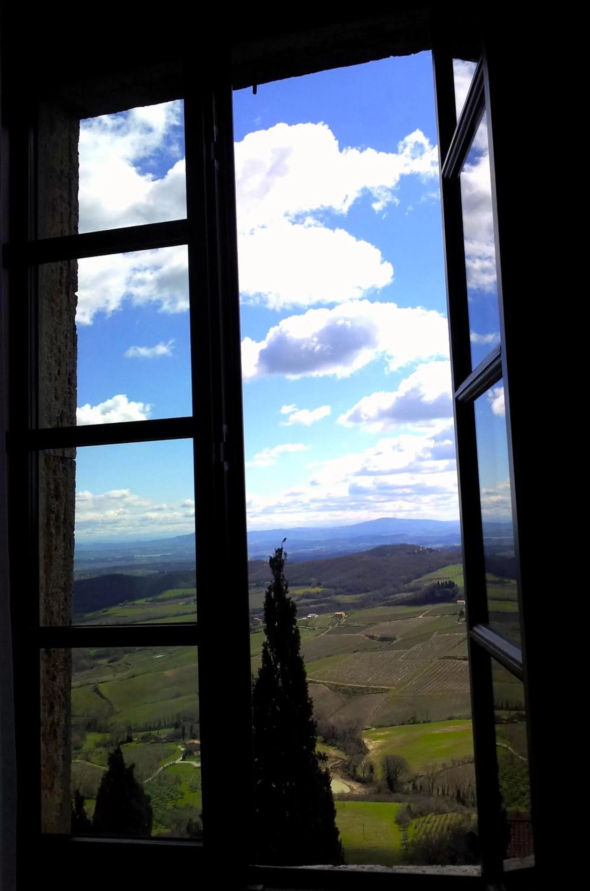 View (from property/room) in Il Tosco