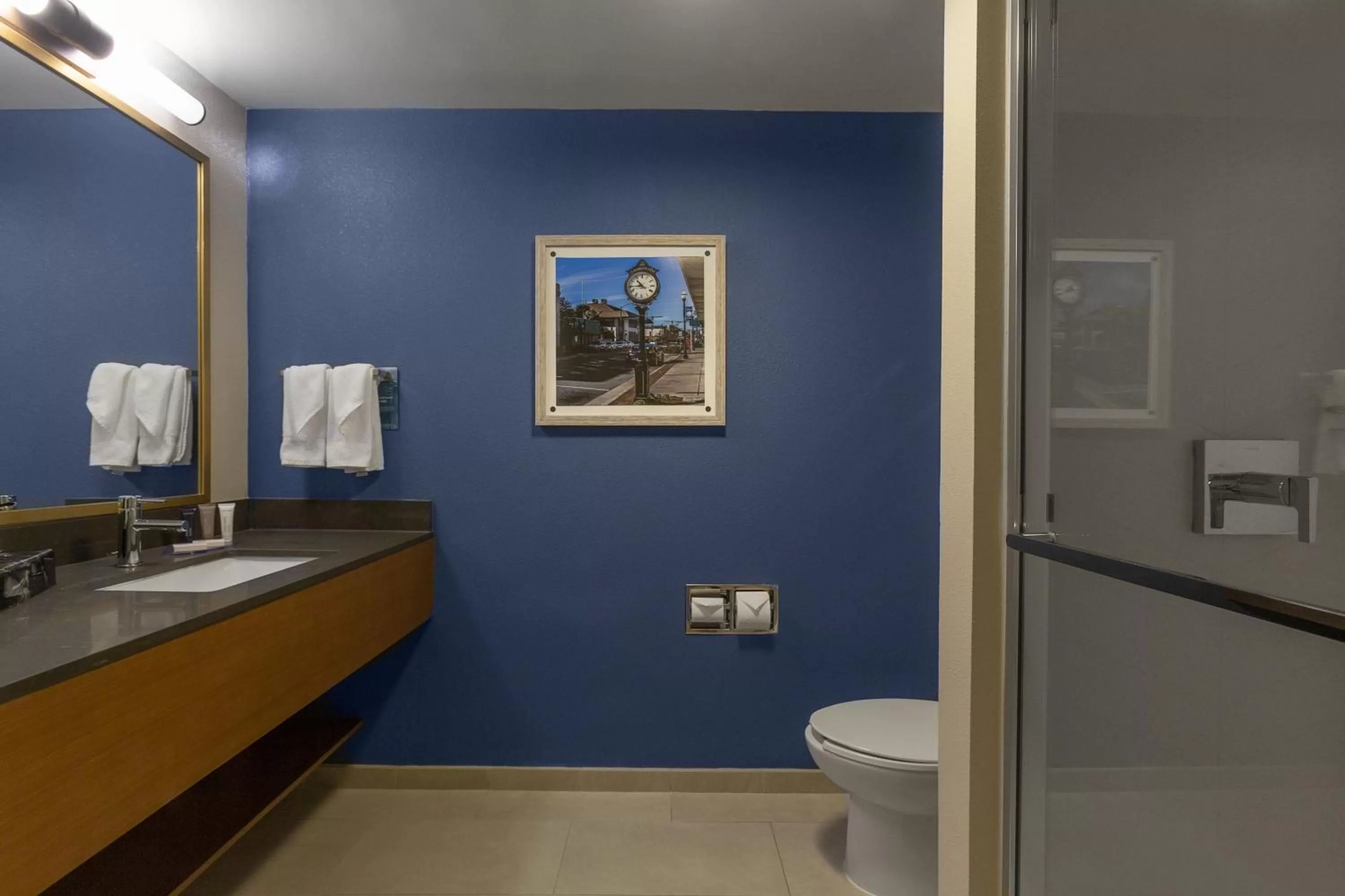 Bathroom in Fairfield Inn & Suites Elizabeth City