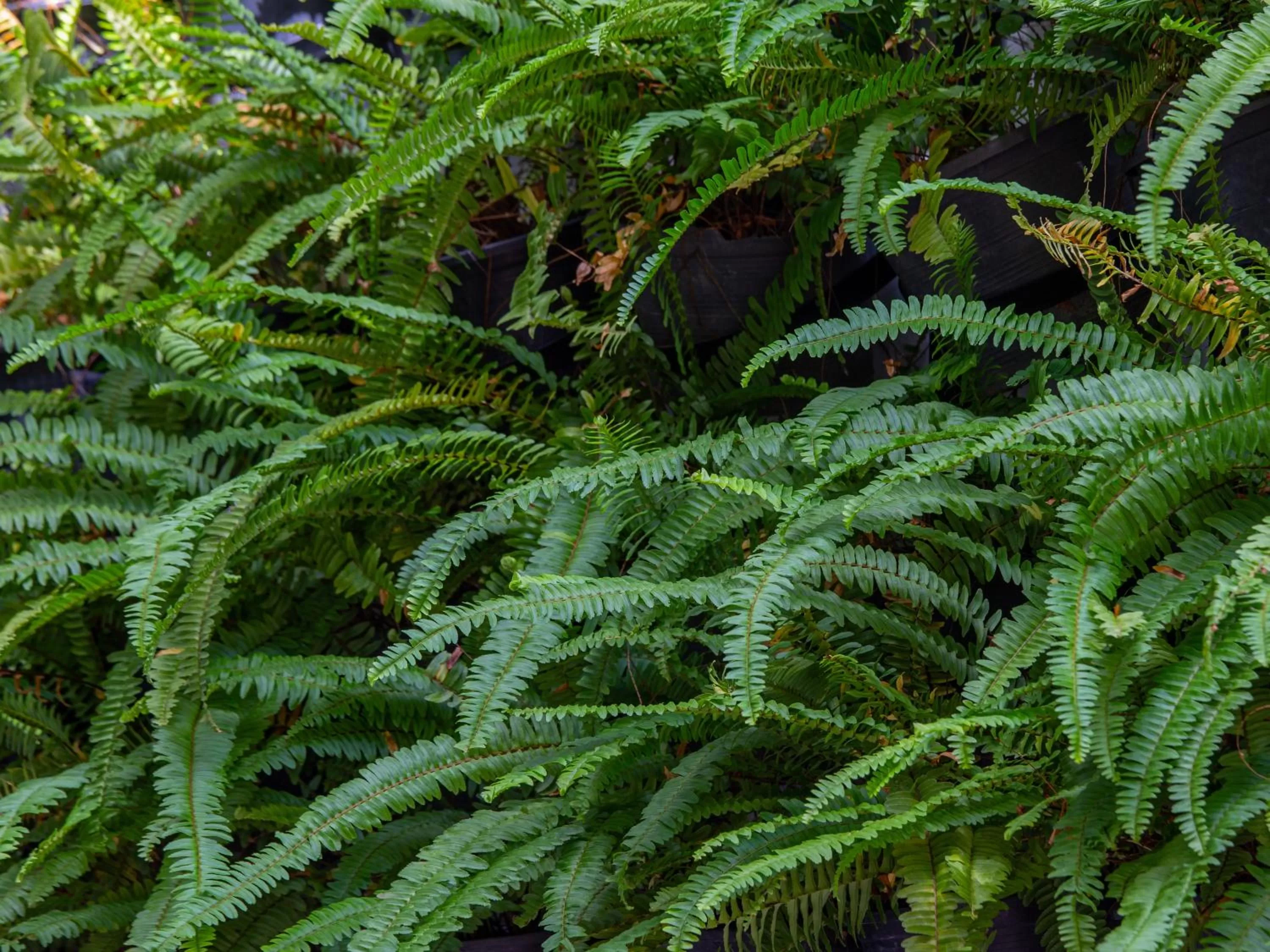 Property building in Homewood Hotel