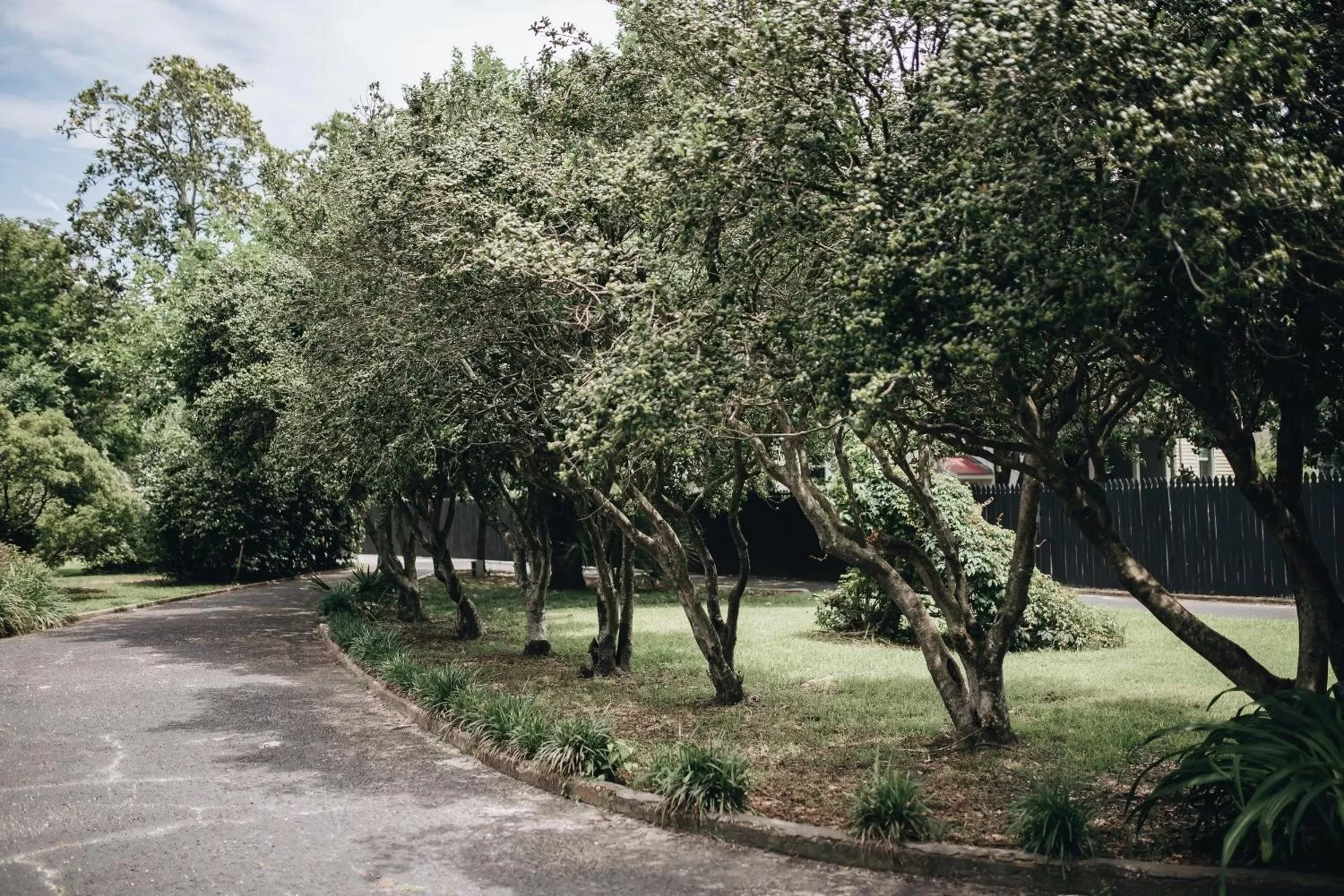 Property building in 1912 Bed and Breakfast
