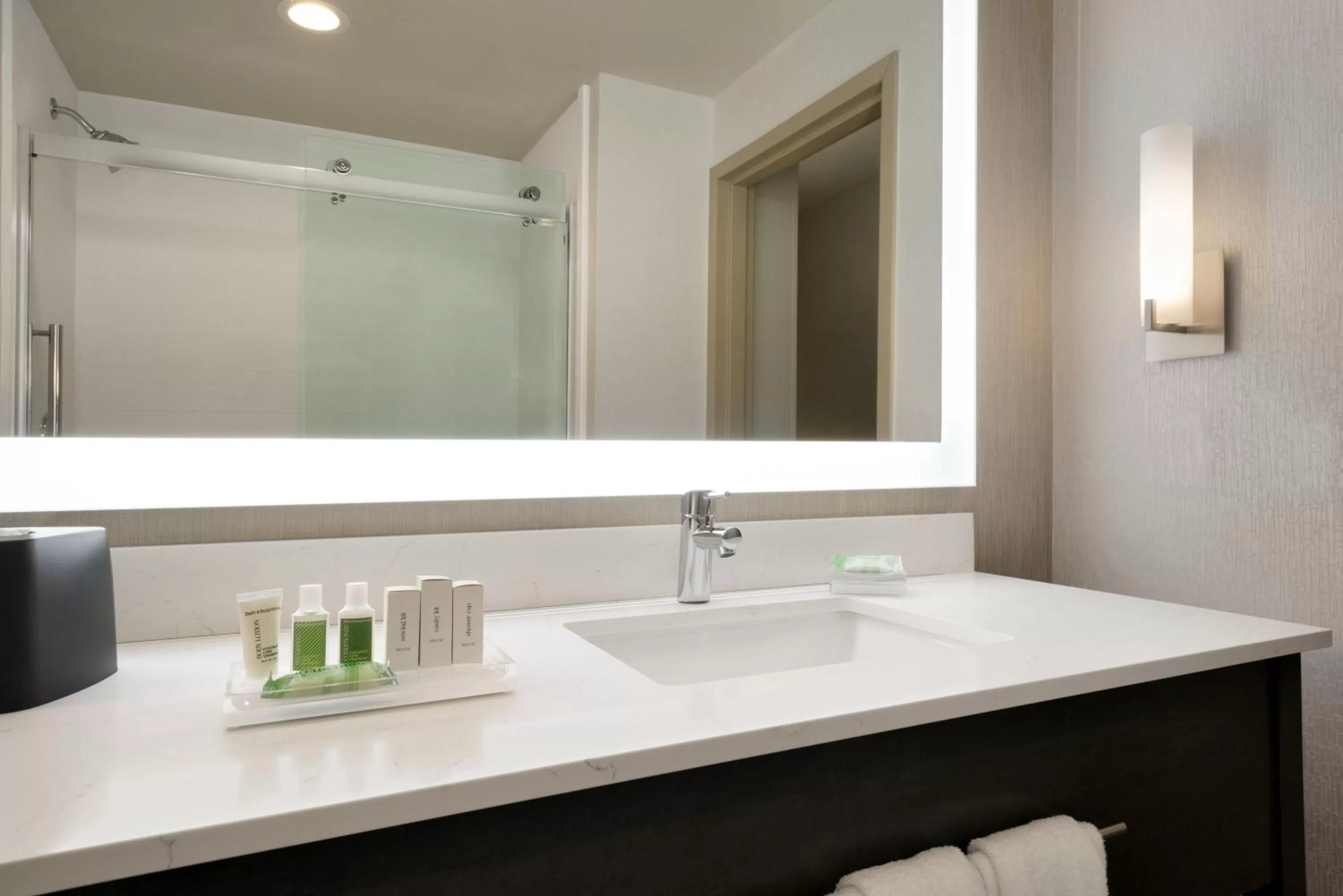 Bathroom in Holiday Inn Hotel & Suites Council Bluffs by IHG