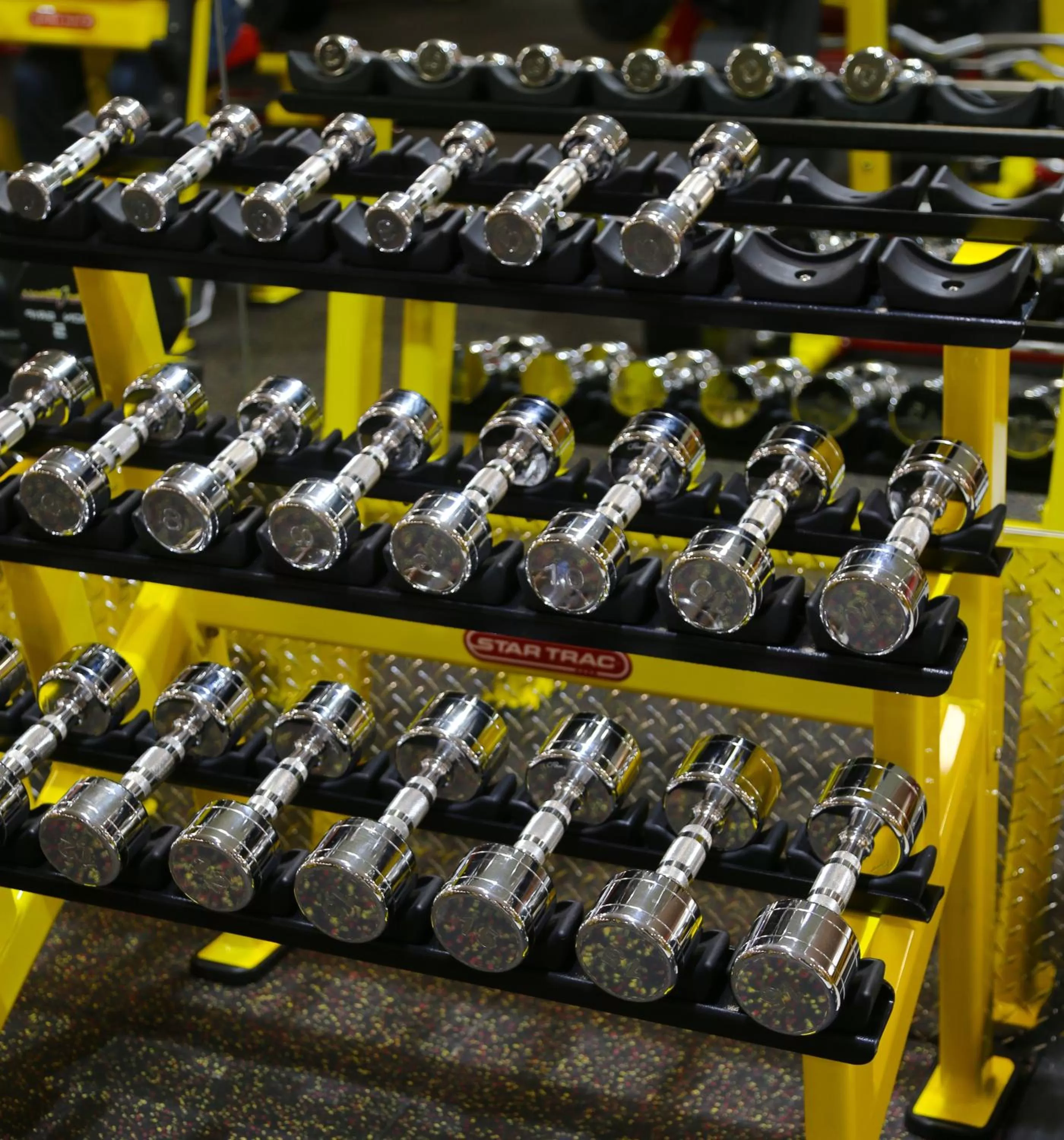 Fitness centre/facilities, Fitness Center/Facilities in Wyndham Garden LaGuardia South