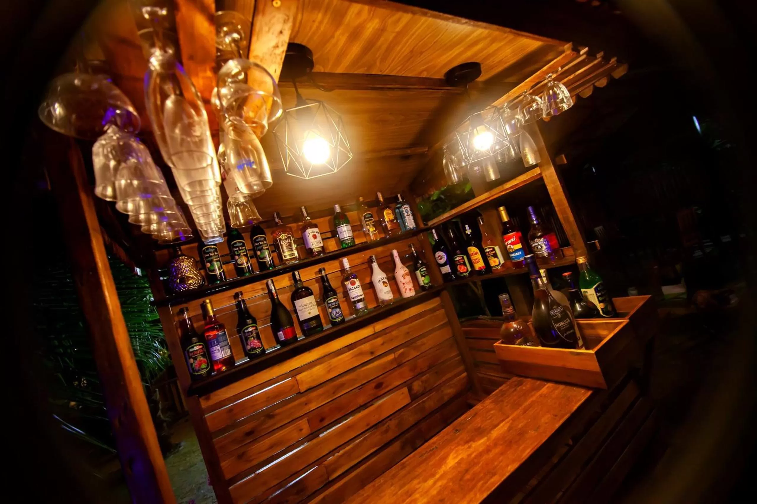 Nightclub / DJ in Hoang Phuc resort