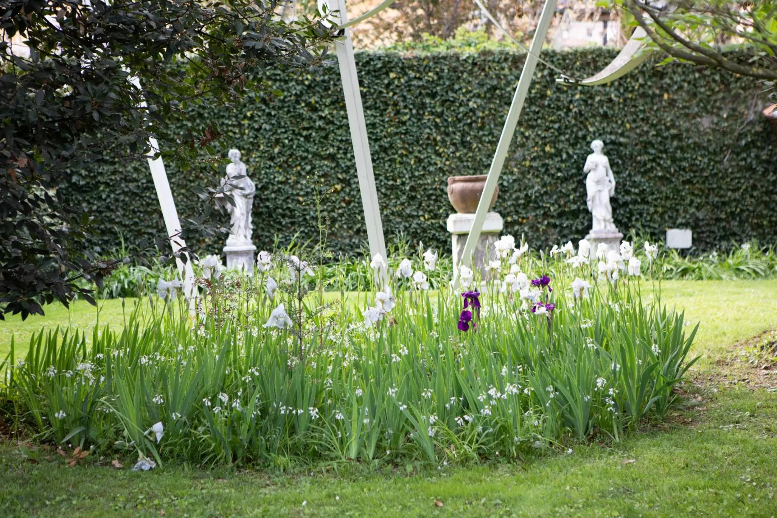 Garden in Villa Belverde Boutique Hotel